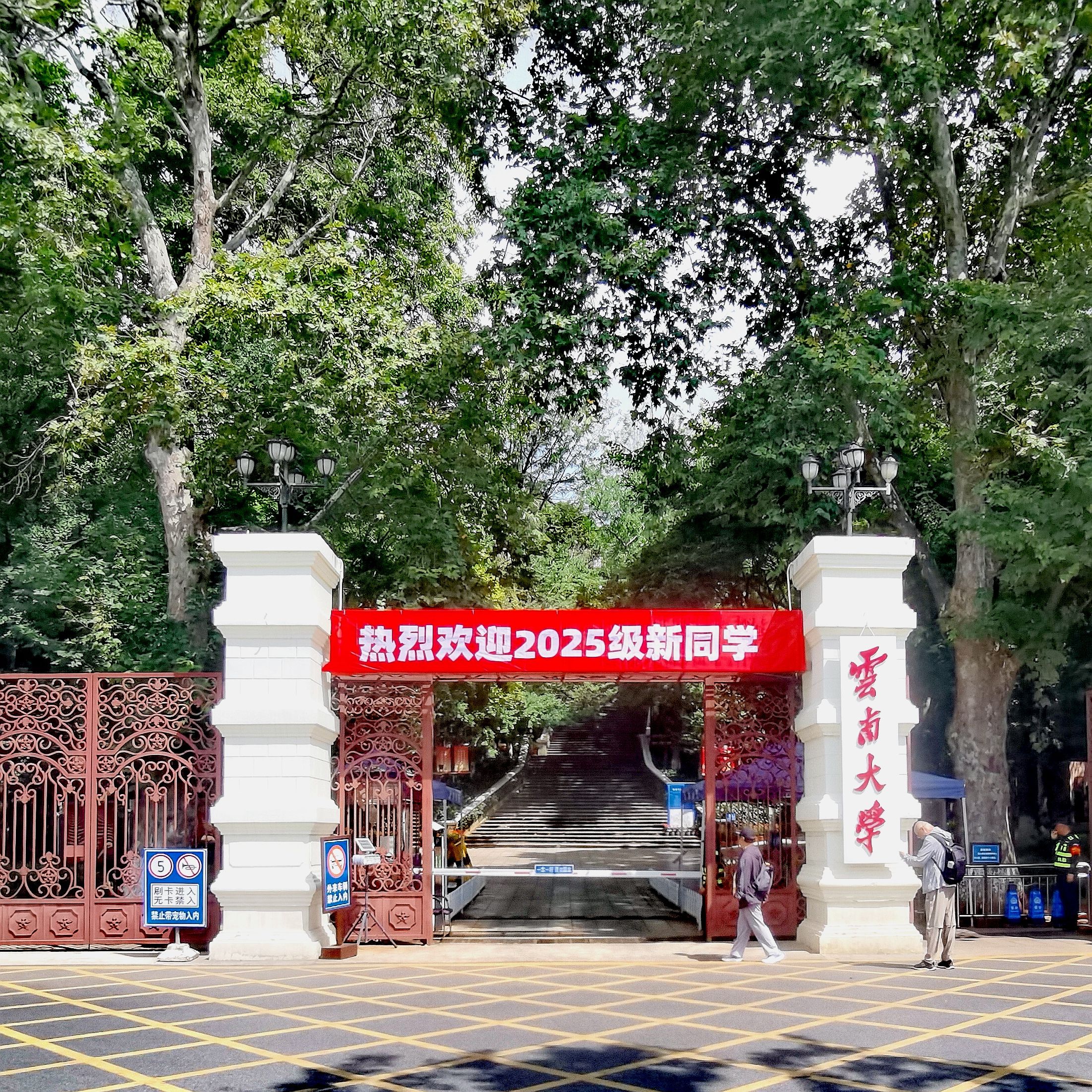 云南大学东陆校区