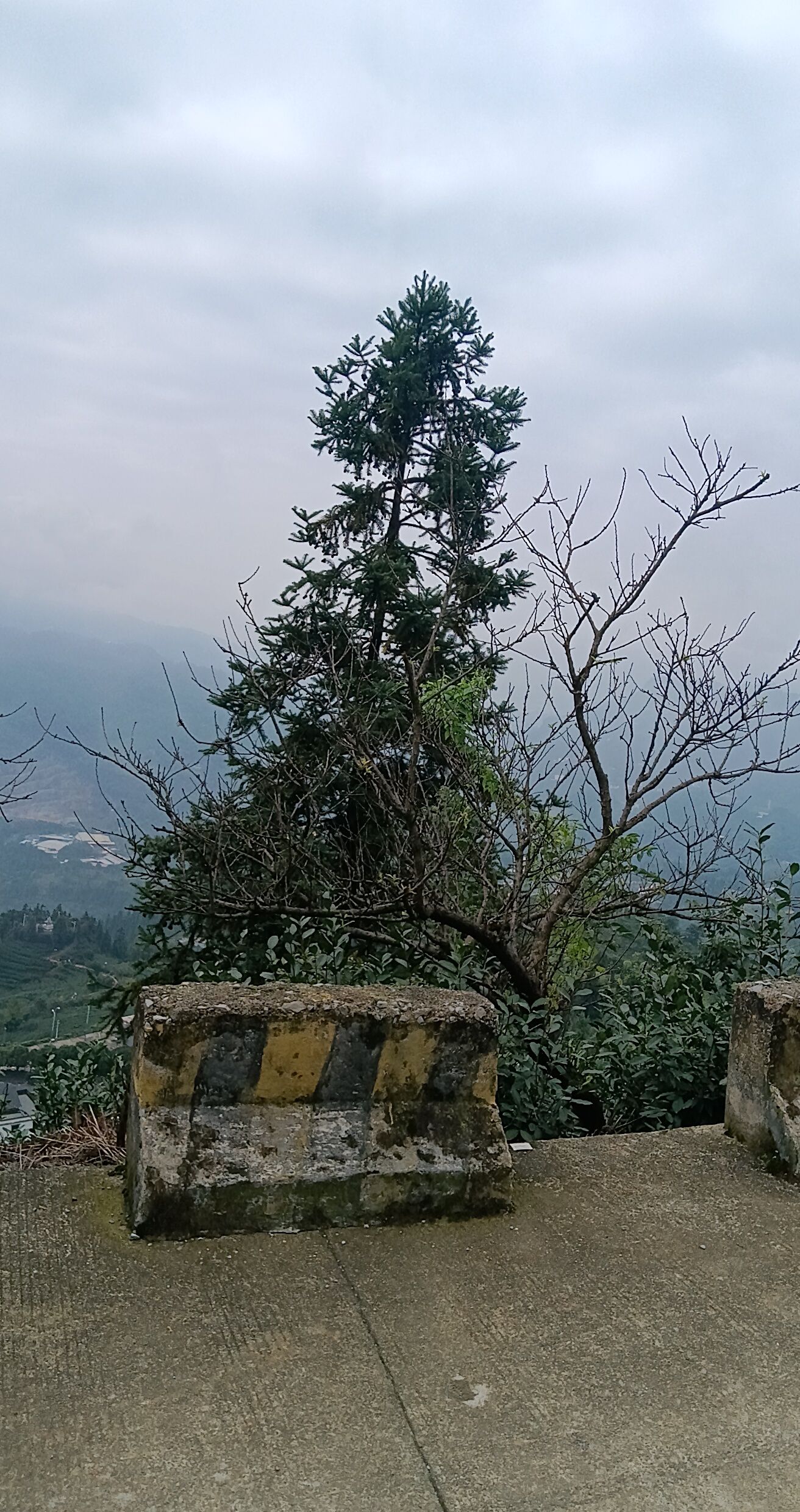 筠连县森林公园旅行图片 2