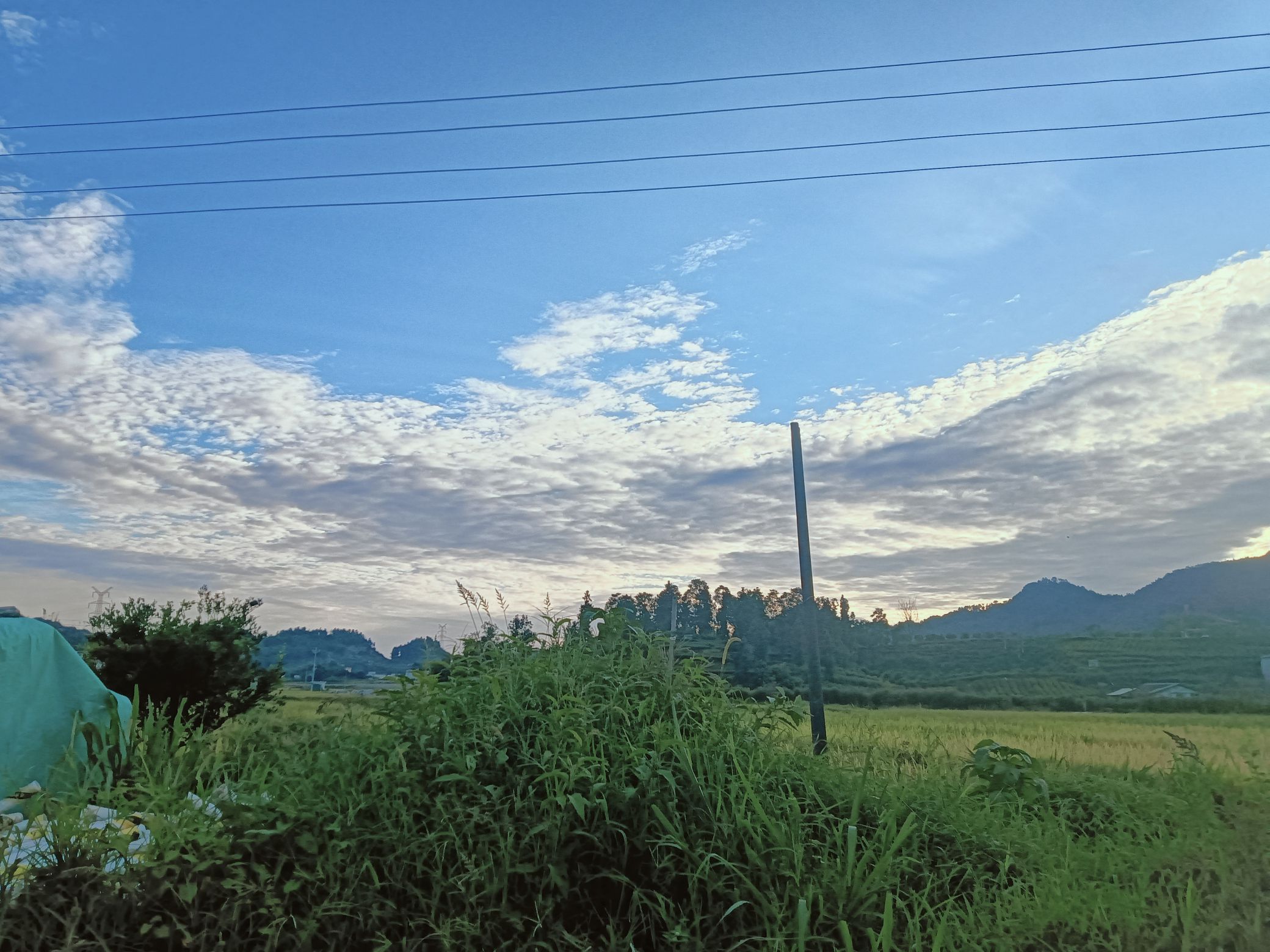 筠连县森林公园旅行图片 3