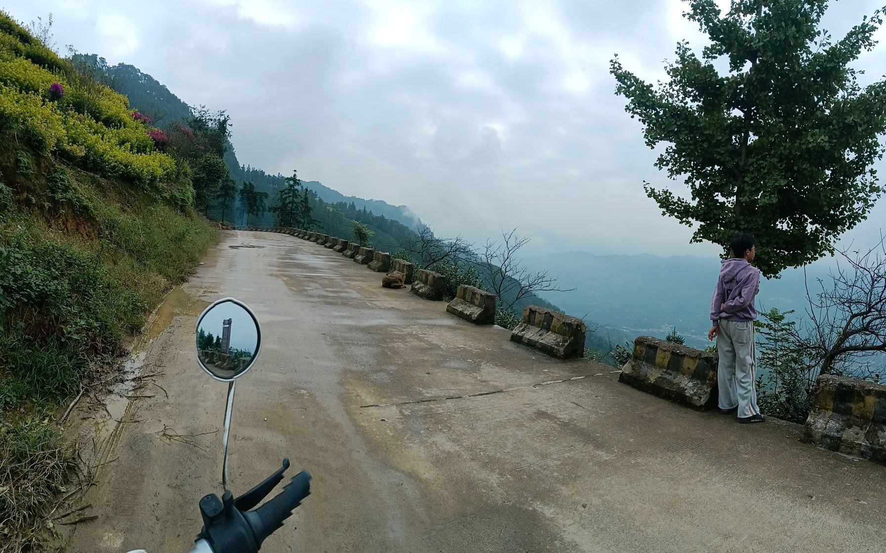 筠连县森林公园旅行图片 1
