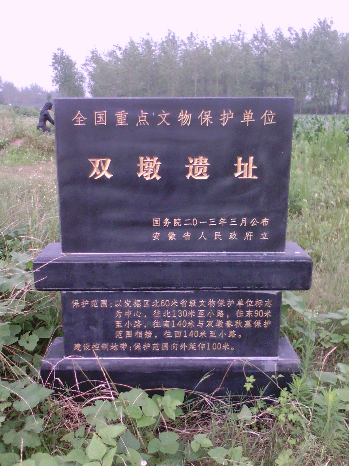 双墩遗址旅行图片 2