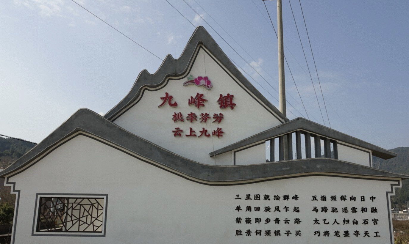 九峰镇花海旅行图片 1