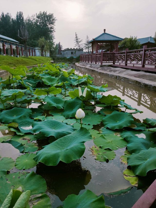翰墨文化园旅行图片 1