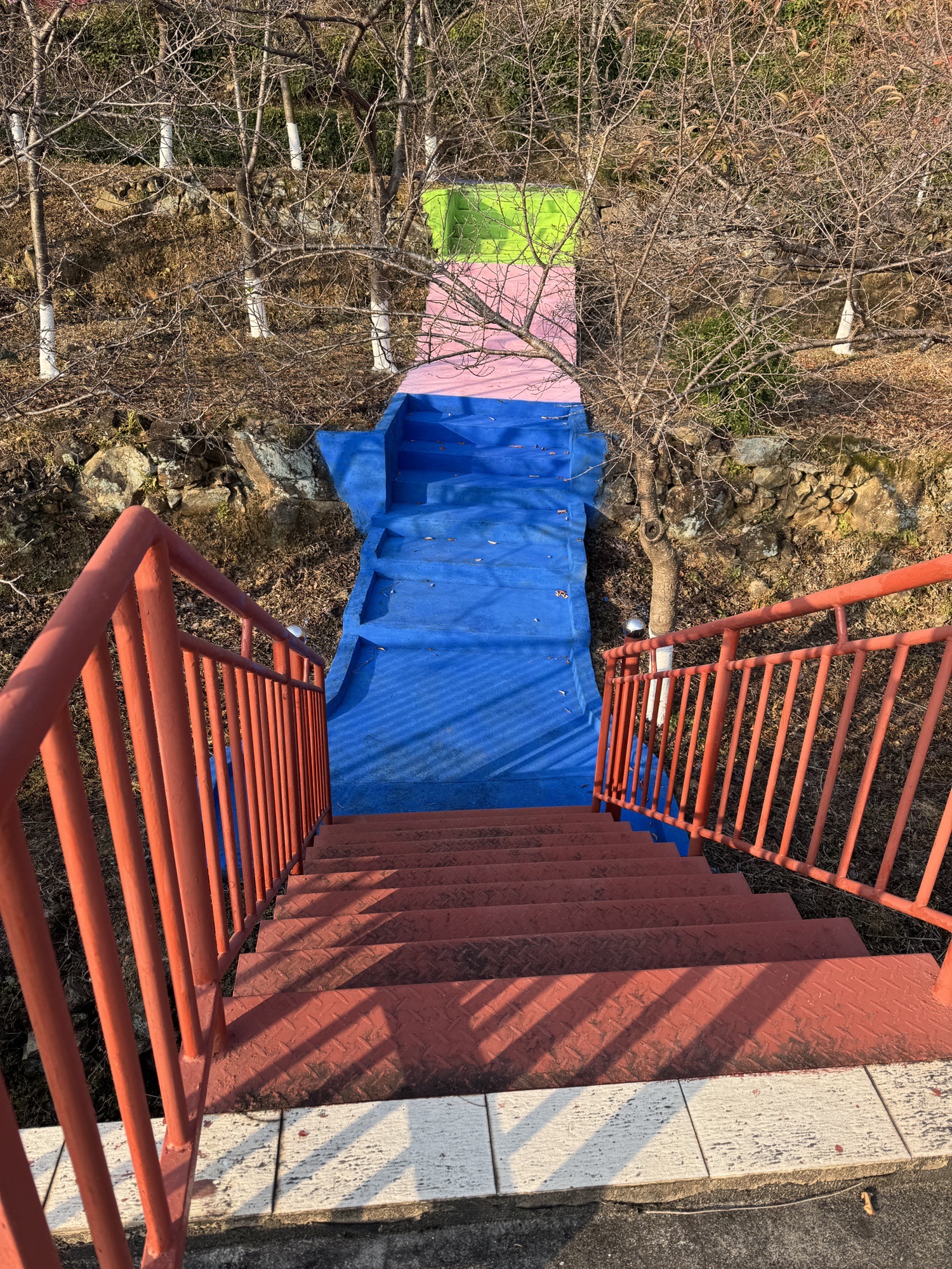 良山樱花观赏园旅行图片 3