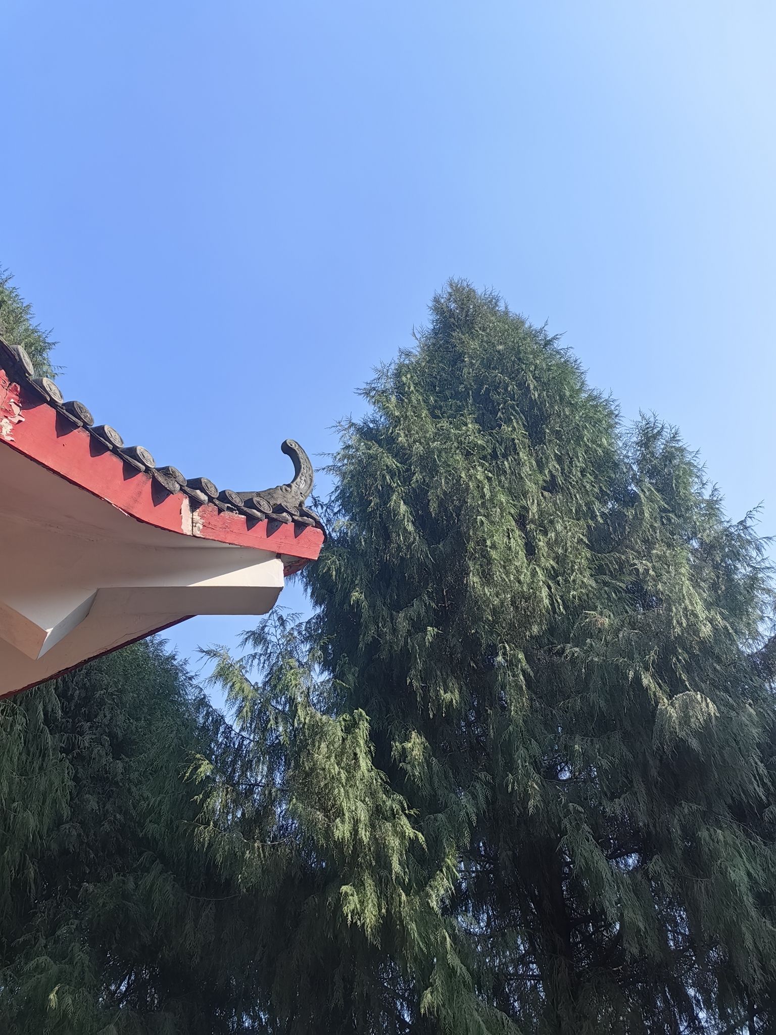 帽壳顶公园旅行图片 3