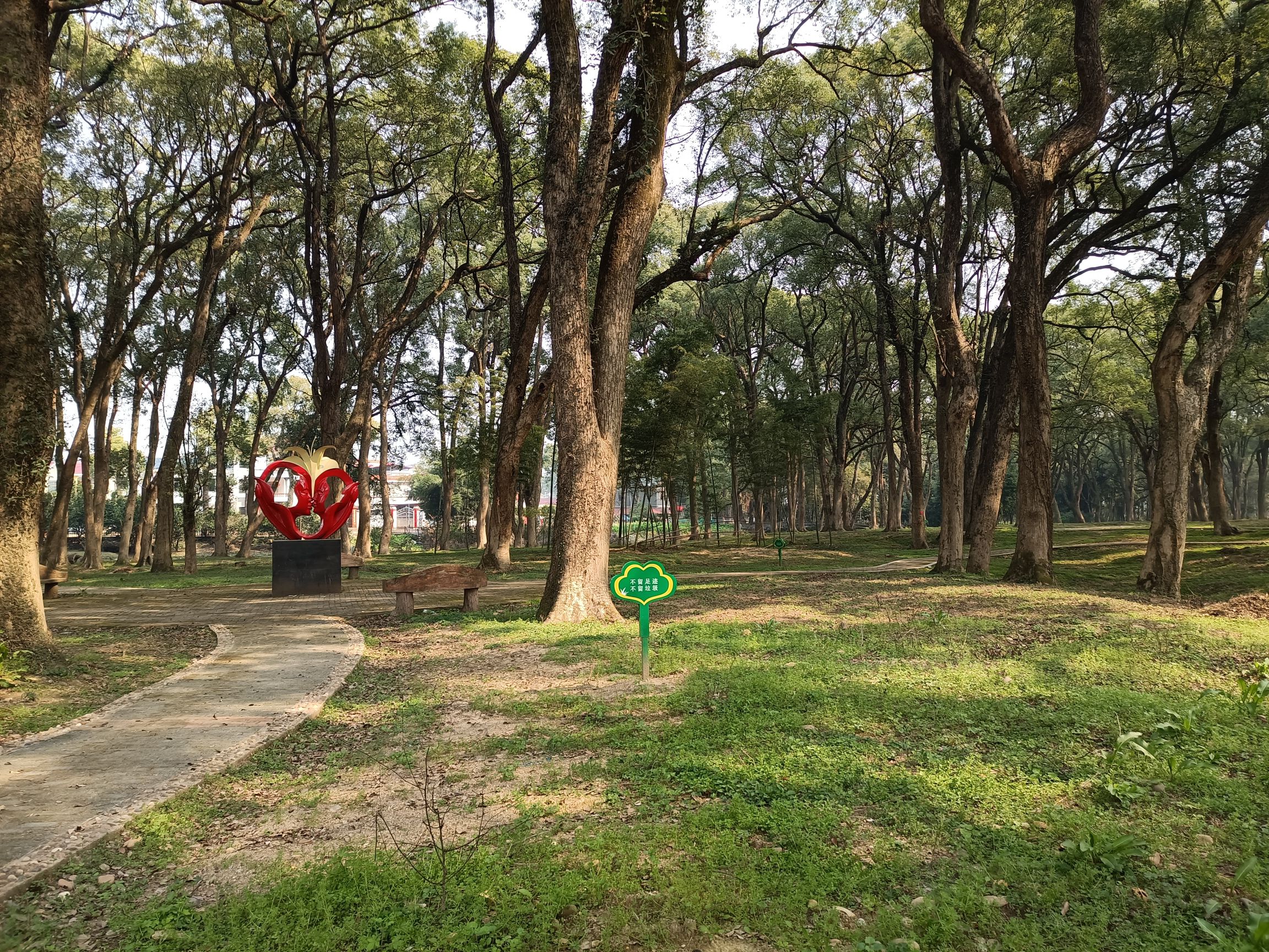 苏溪森林湿地公园旅行图片 2