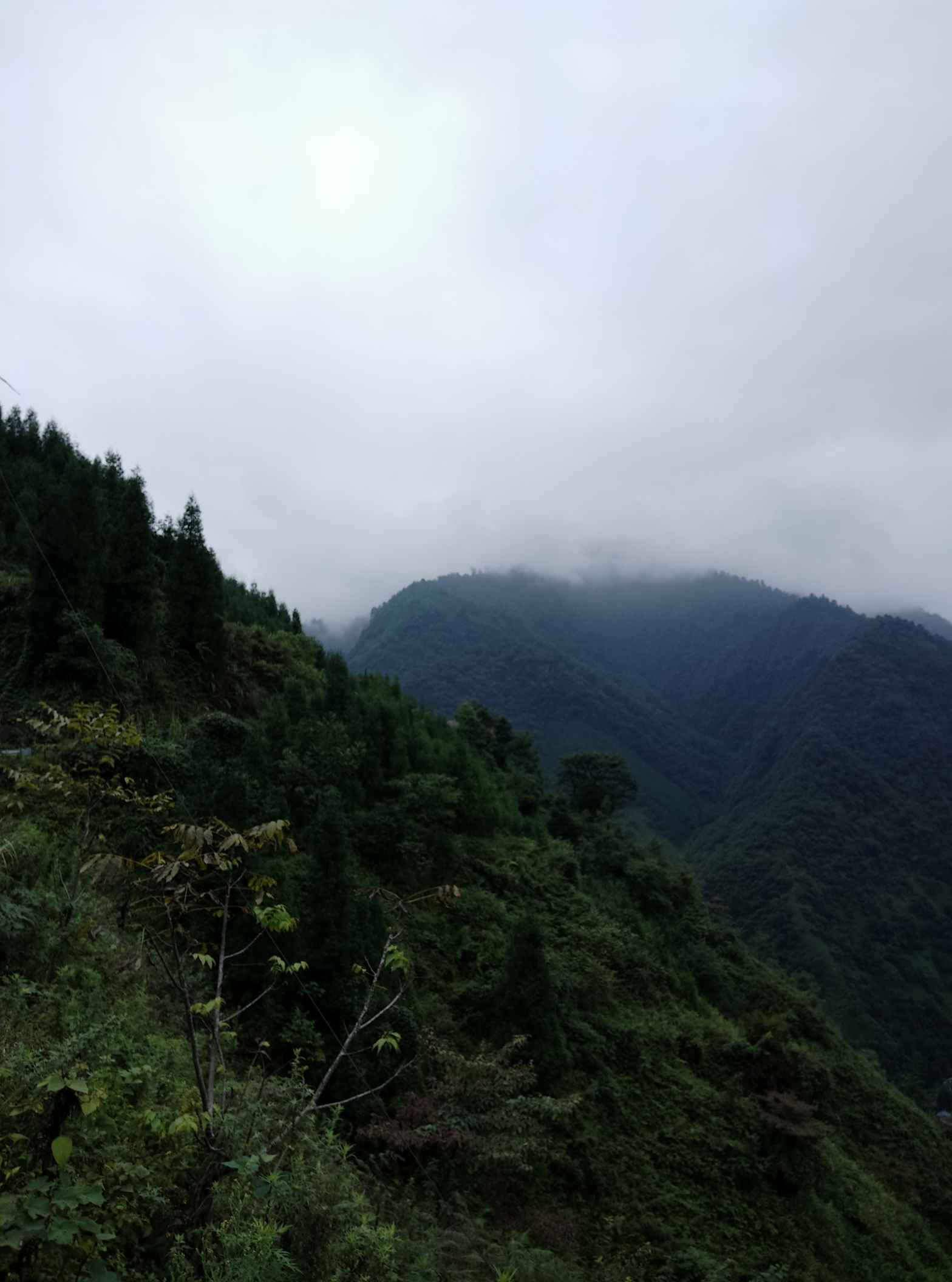 大风顶国家级自然保护区(不对外开放)旅行图片 2