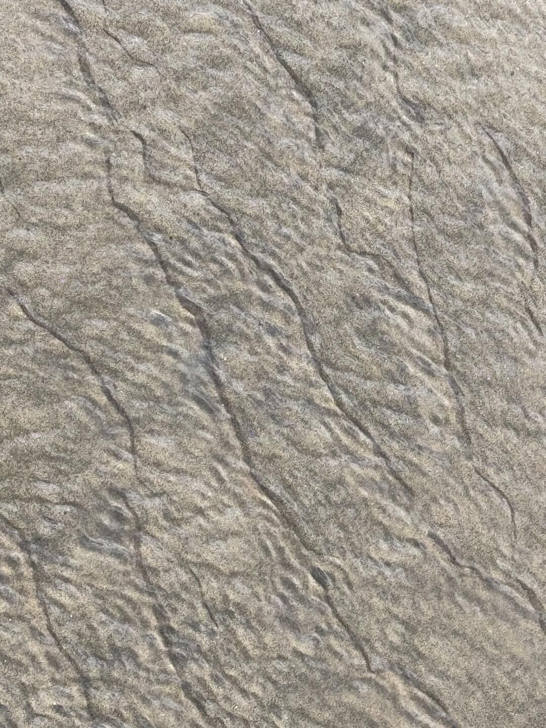 黄金海滩旅行图片 3