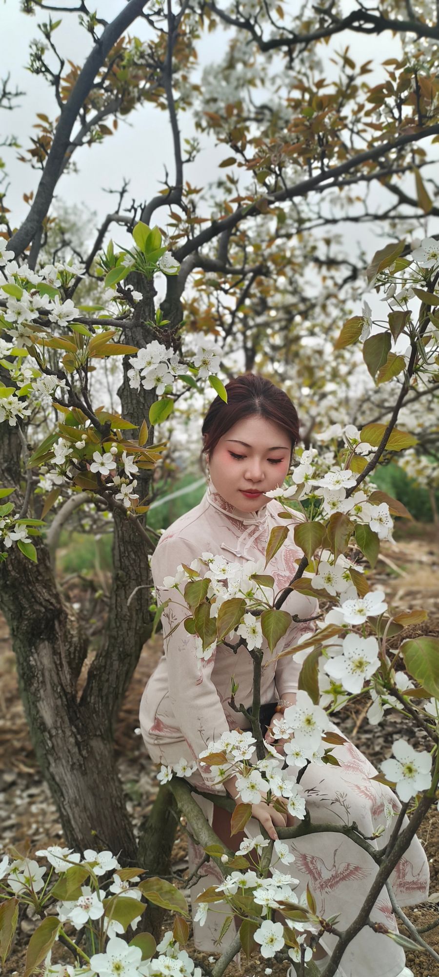 大河村梨花沟旅行图片 1