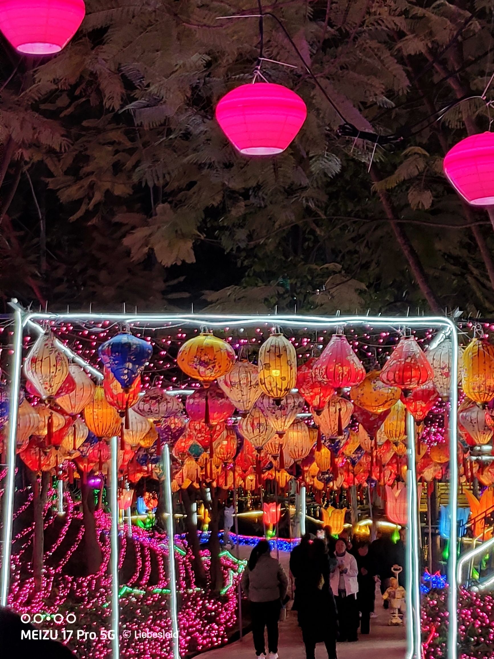 桂花湖旅行图片 2