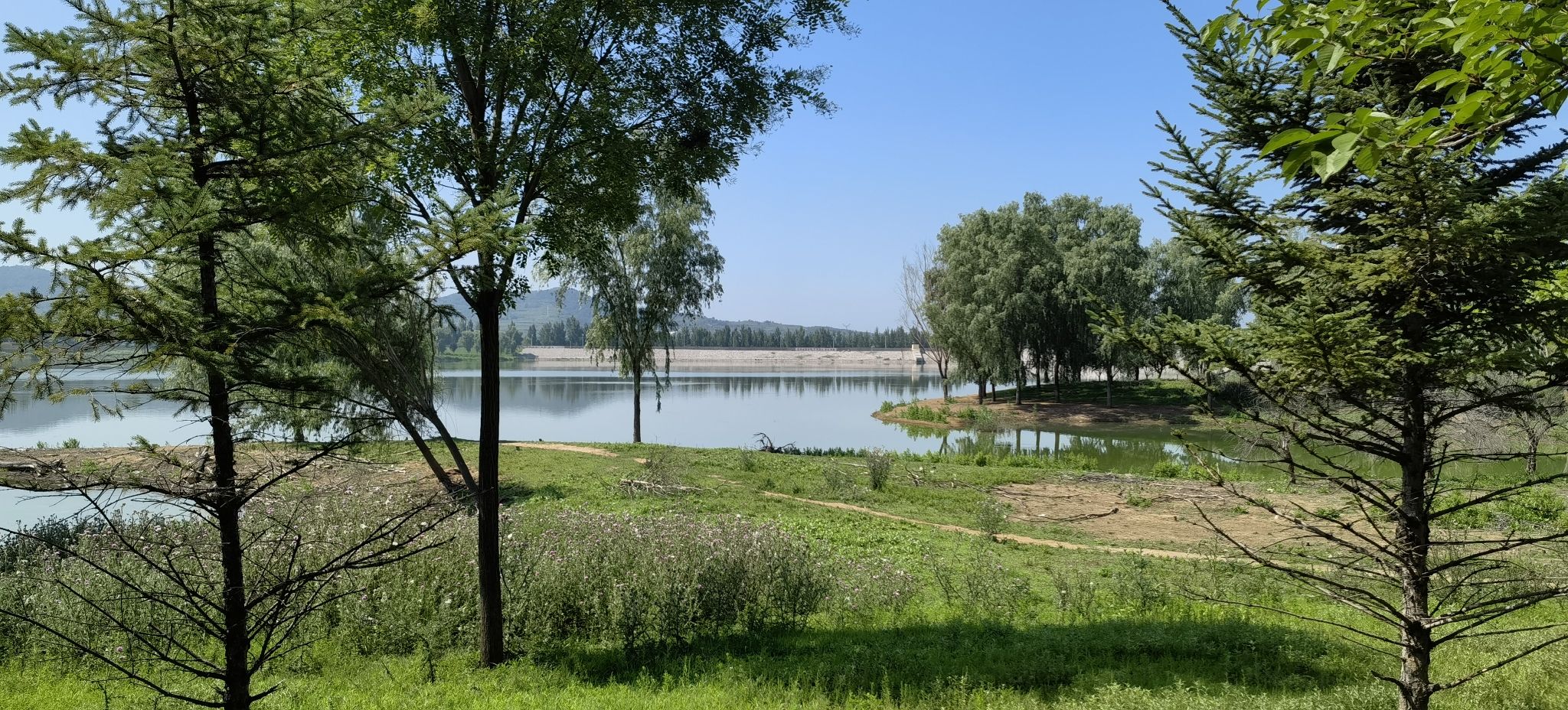 米山湿地公园旅行图片 2