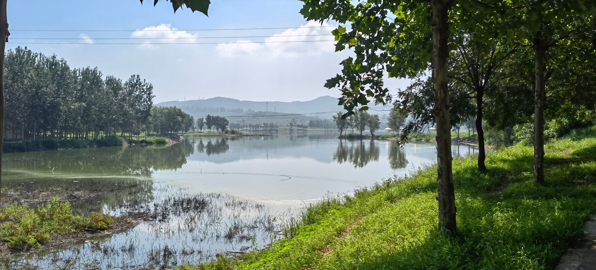 米山湿地公园旅行图片 1