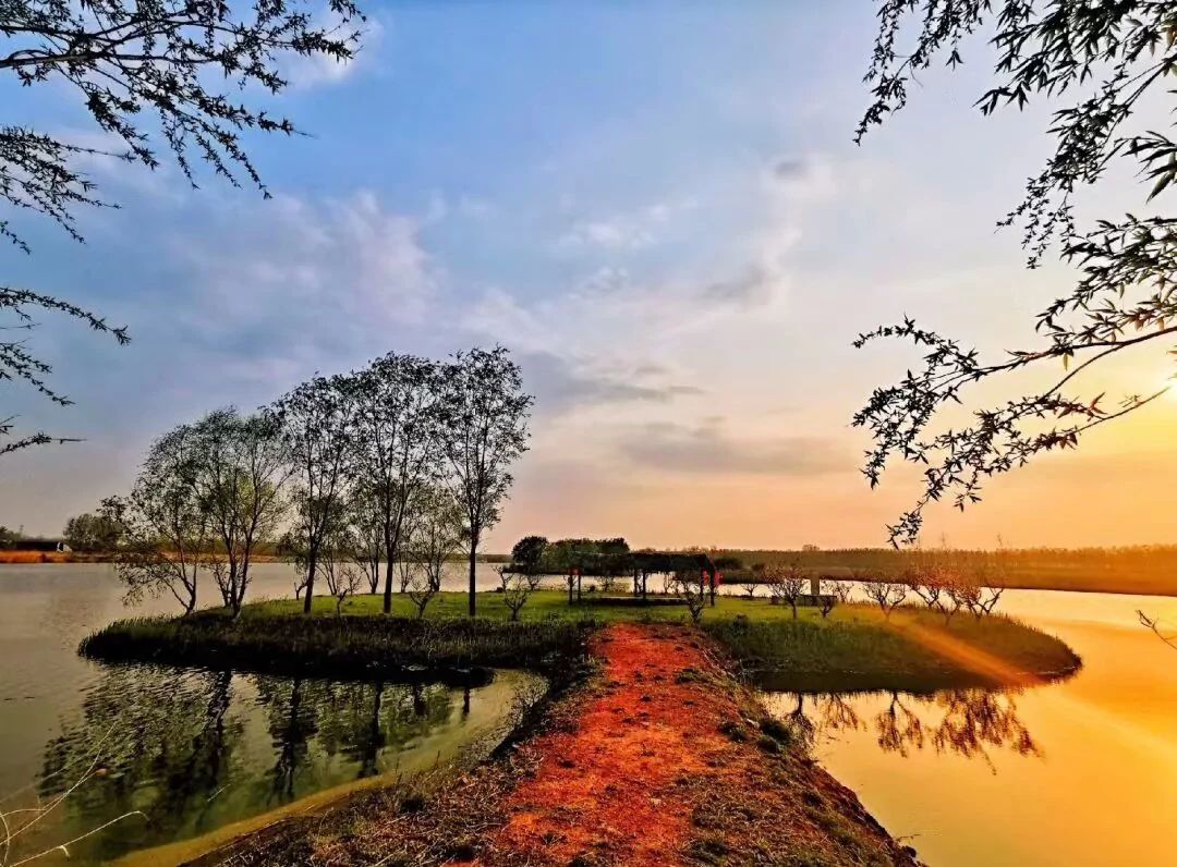 沭河古道旅行图片 3