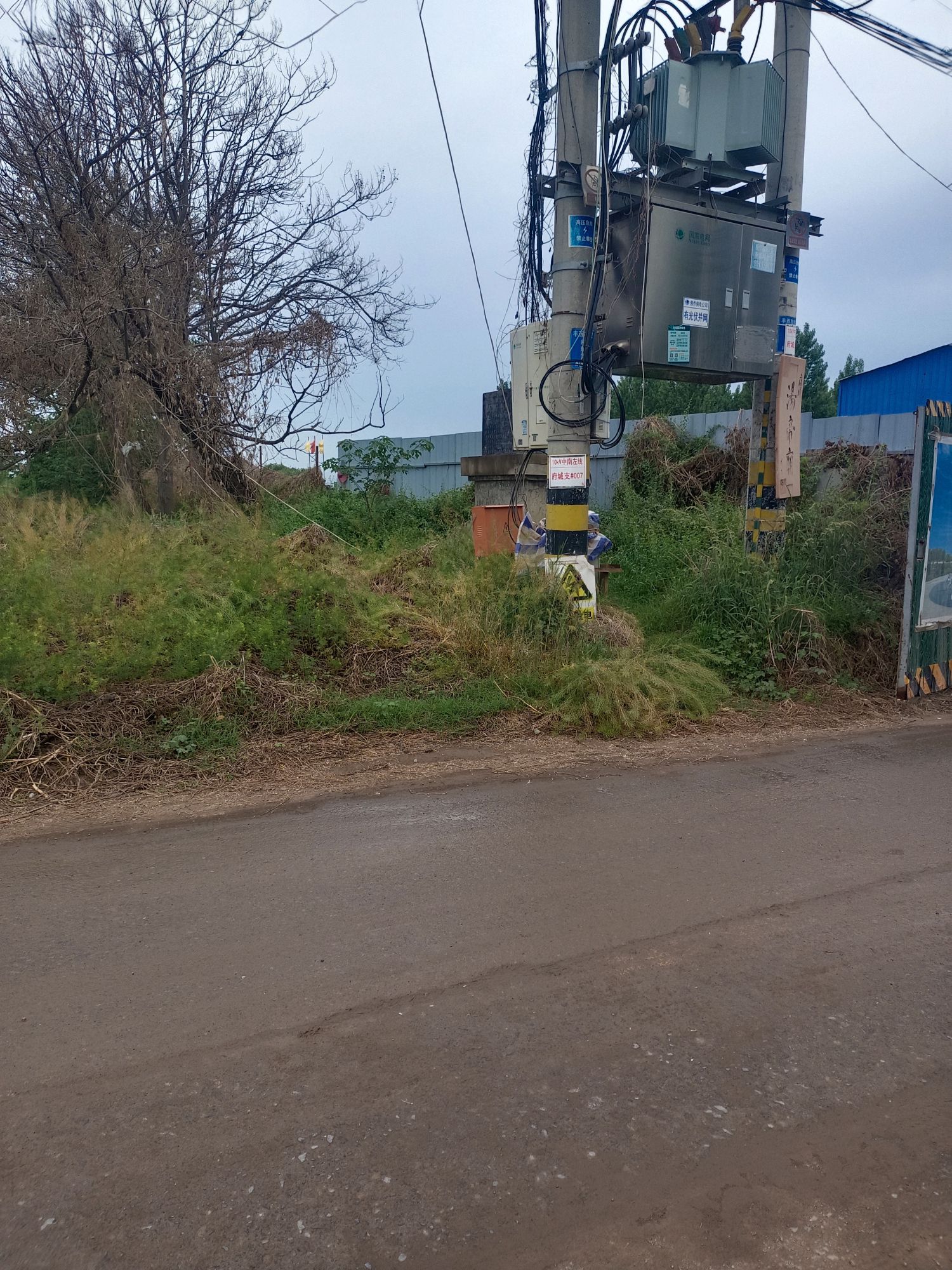 早商府城遗址旅行图片 2