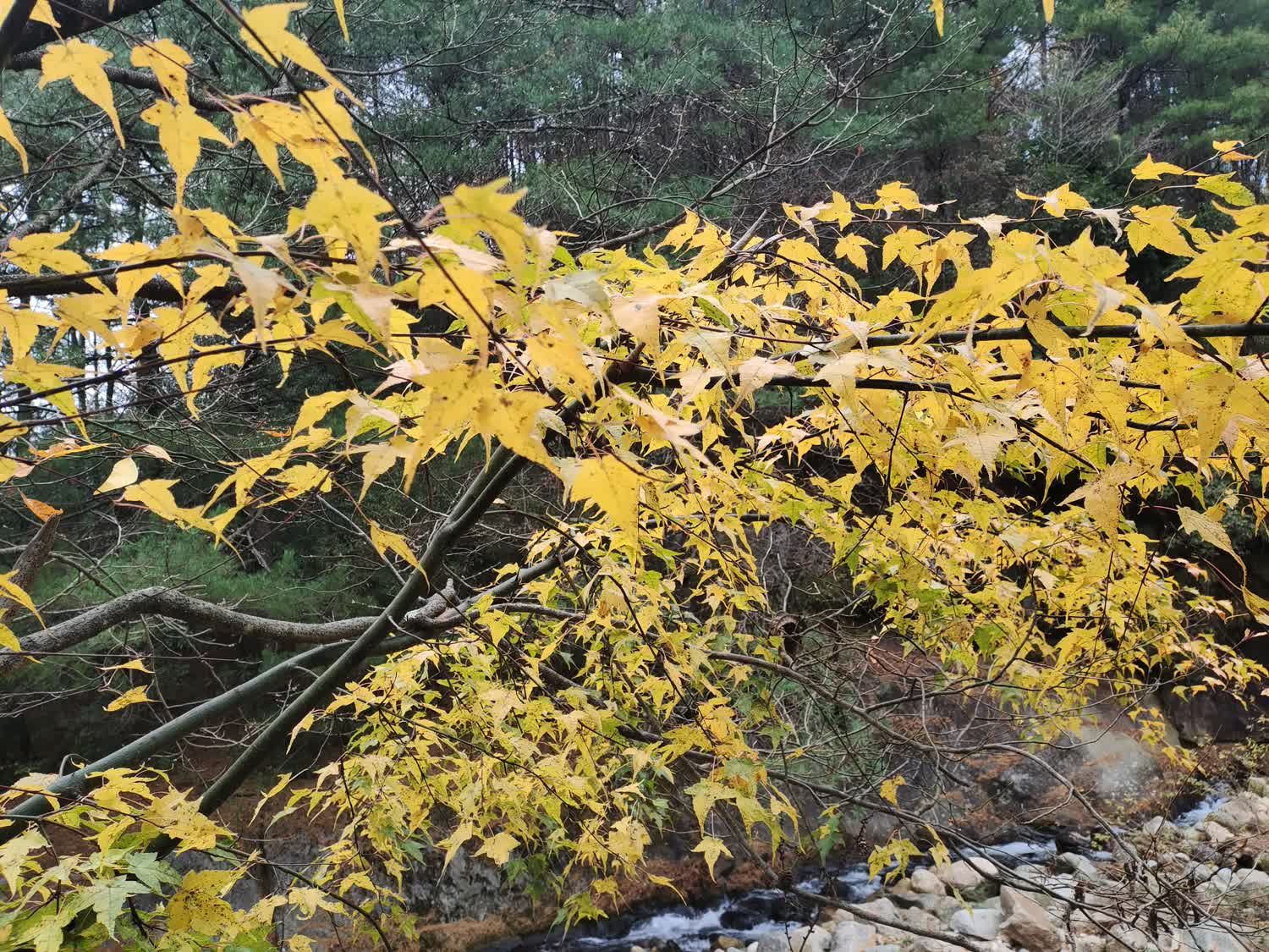 十八月潭景区旅行图片 2
