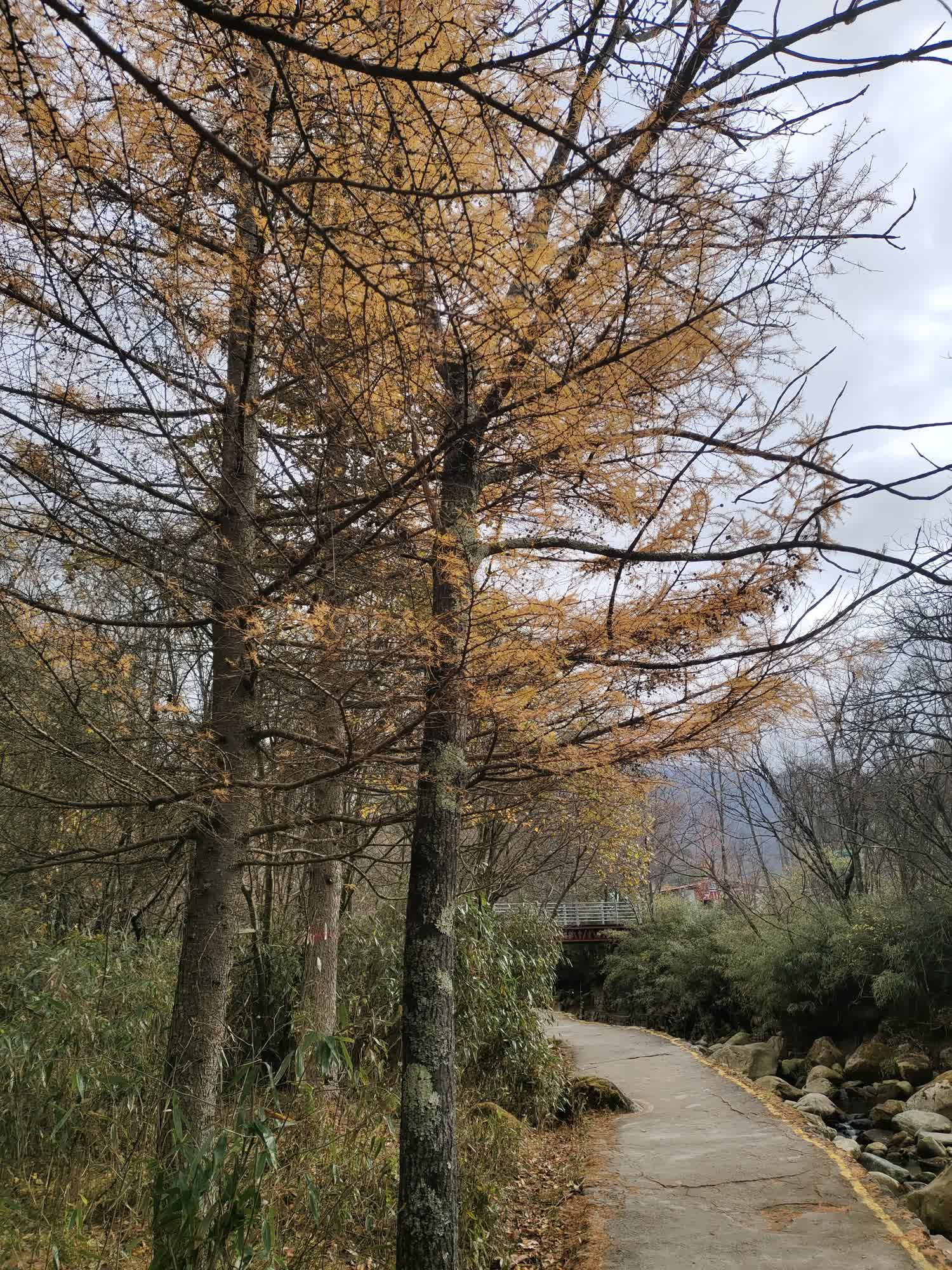 十八月潭景区旅行图片 1