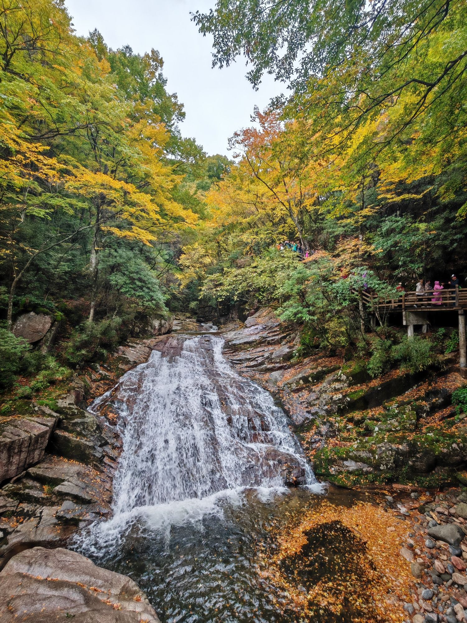 十八月潭景区旅行图片 3