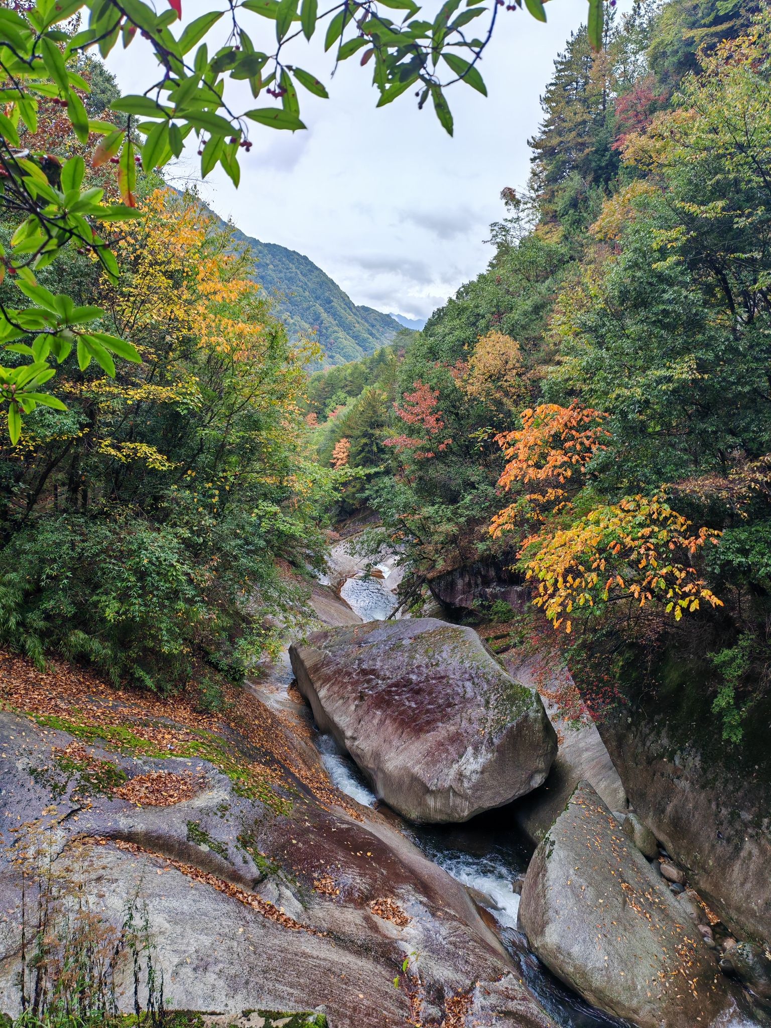 十八月潭景区旅行图片 1