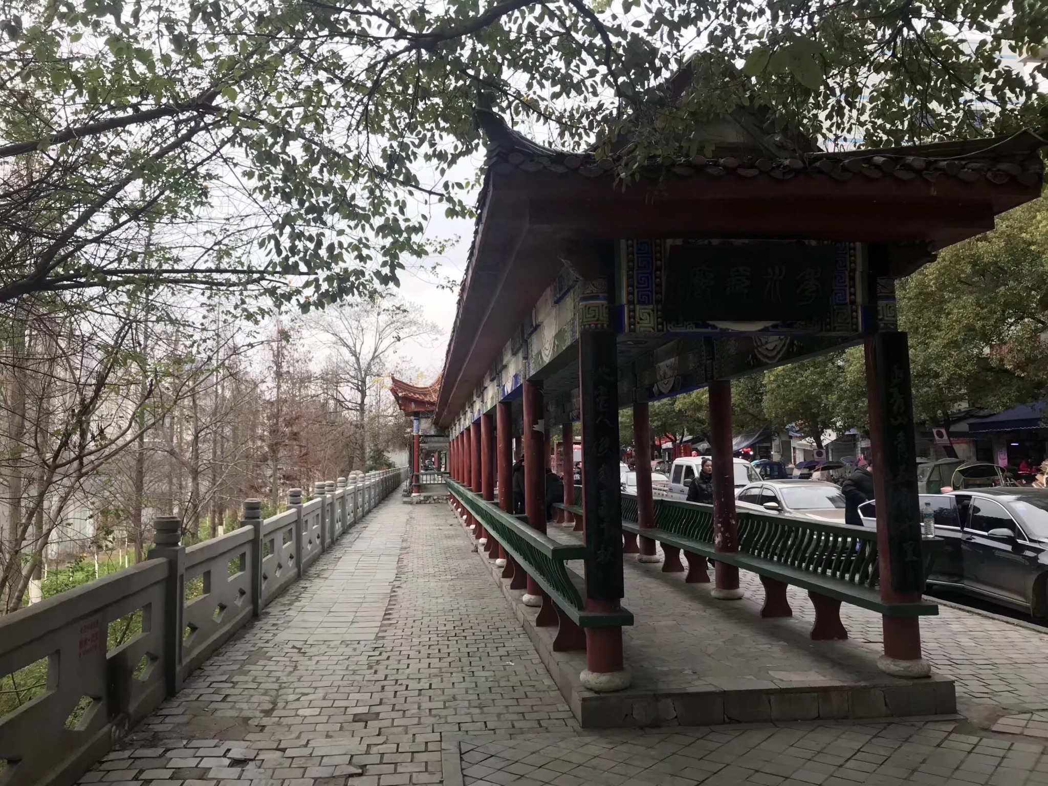 澄江花园旅行图片 3