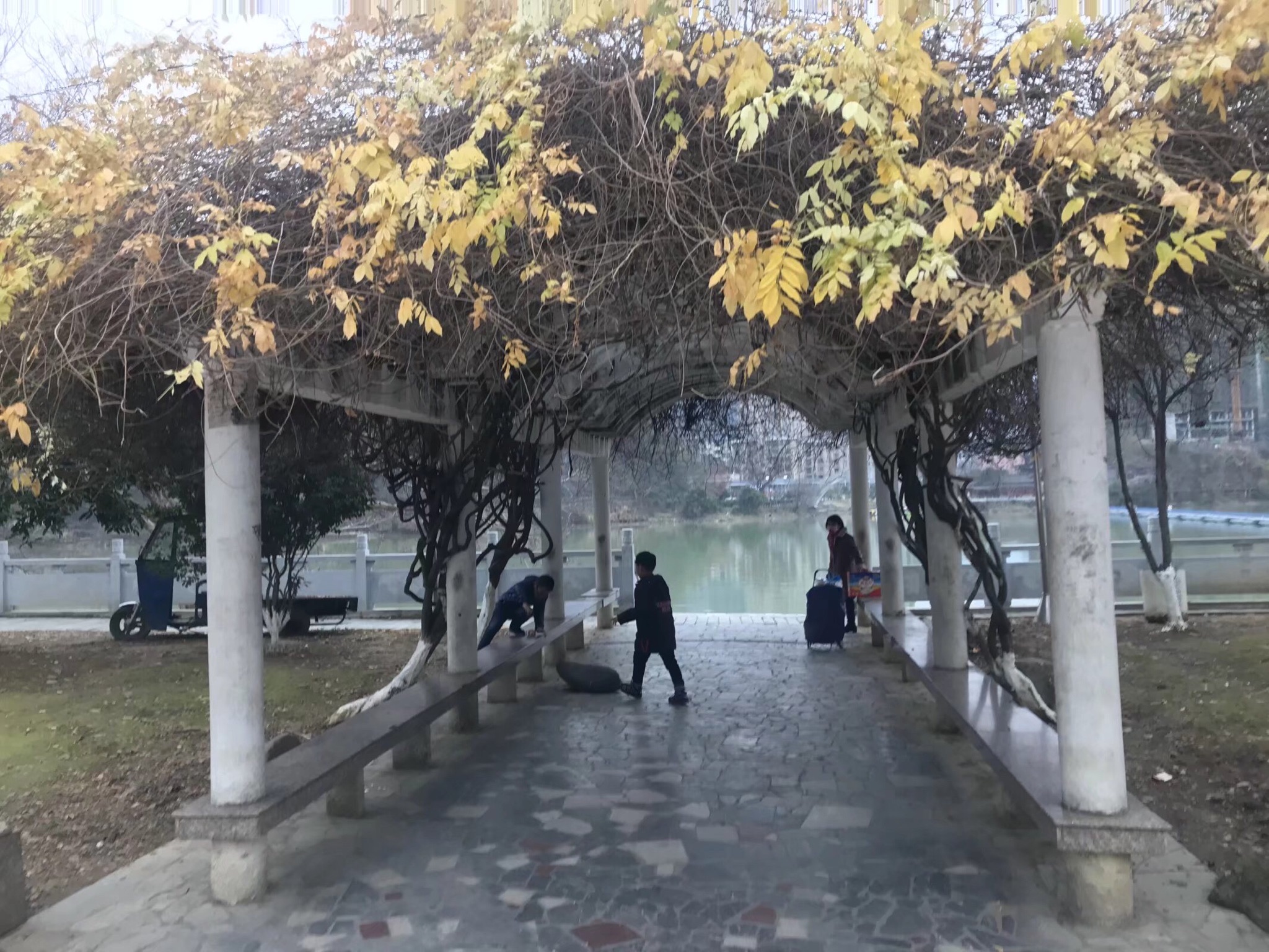 澄江花园旅行图片 2