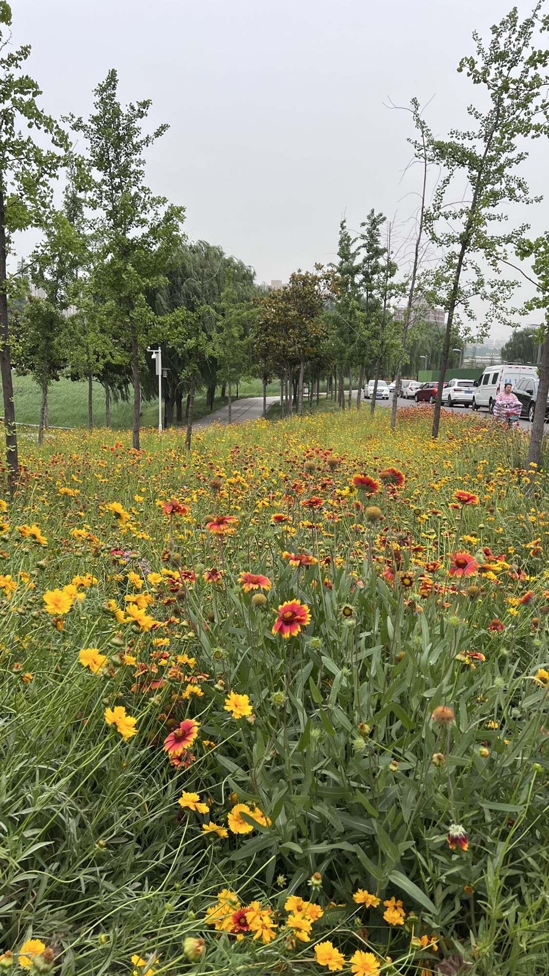 泥河公园旅行图片 3
