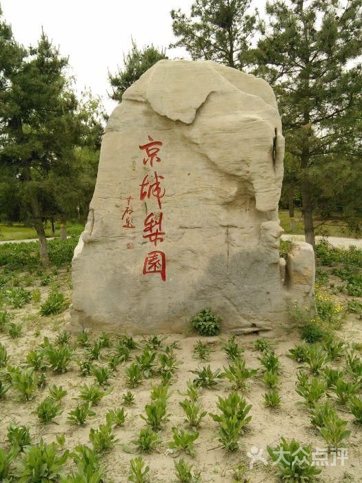 京城梨园旅行图片 3