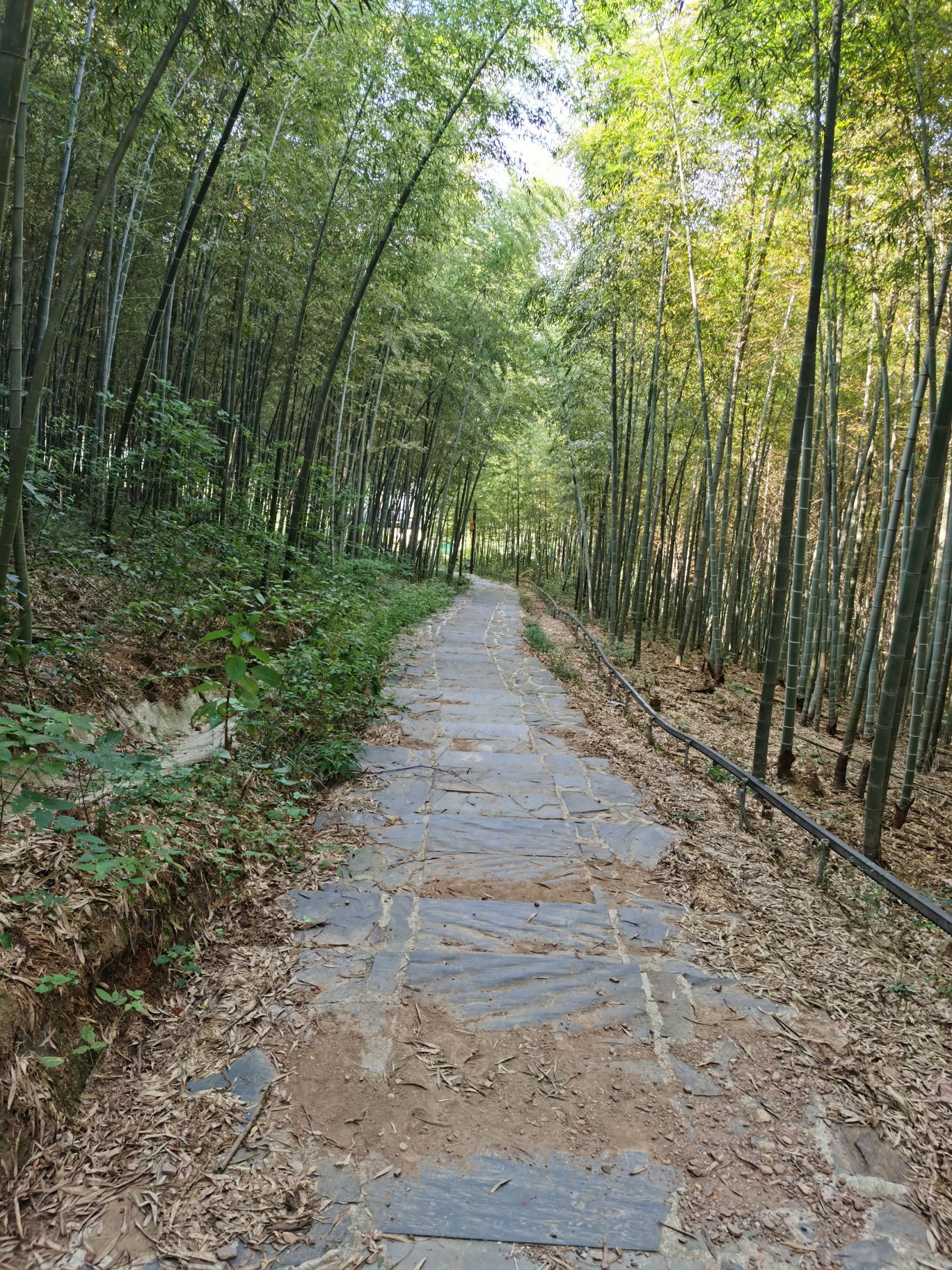 伍员山景区旅行图片 3