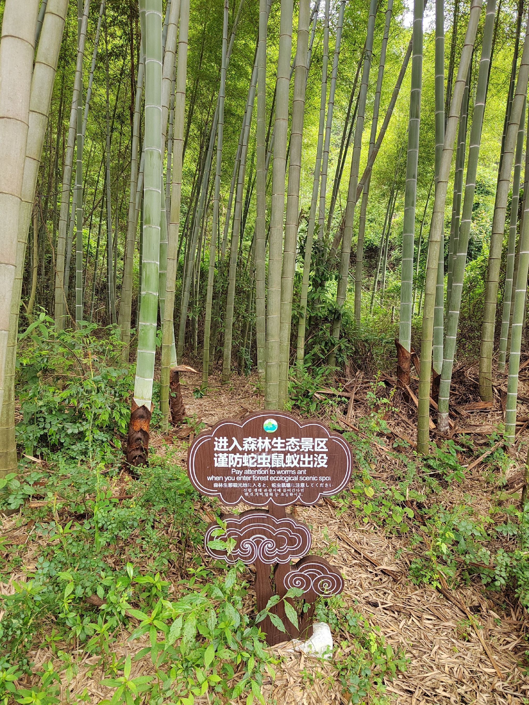 玉笥山景区旅行图片 2