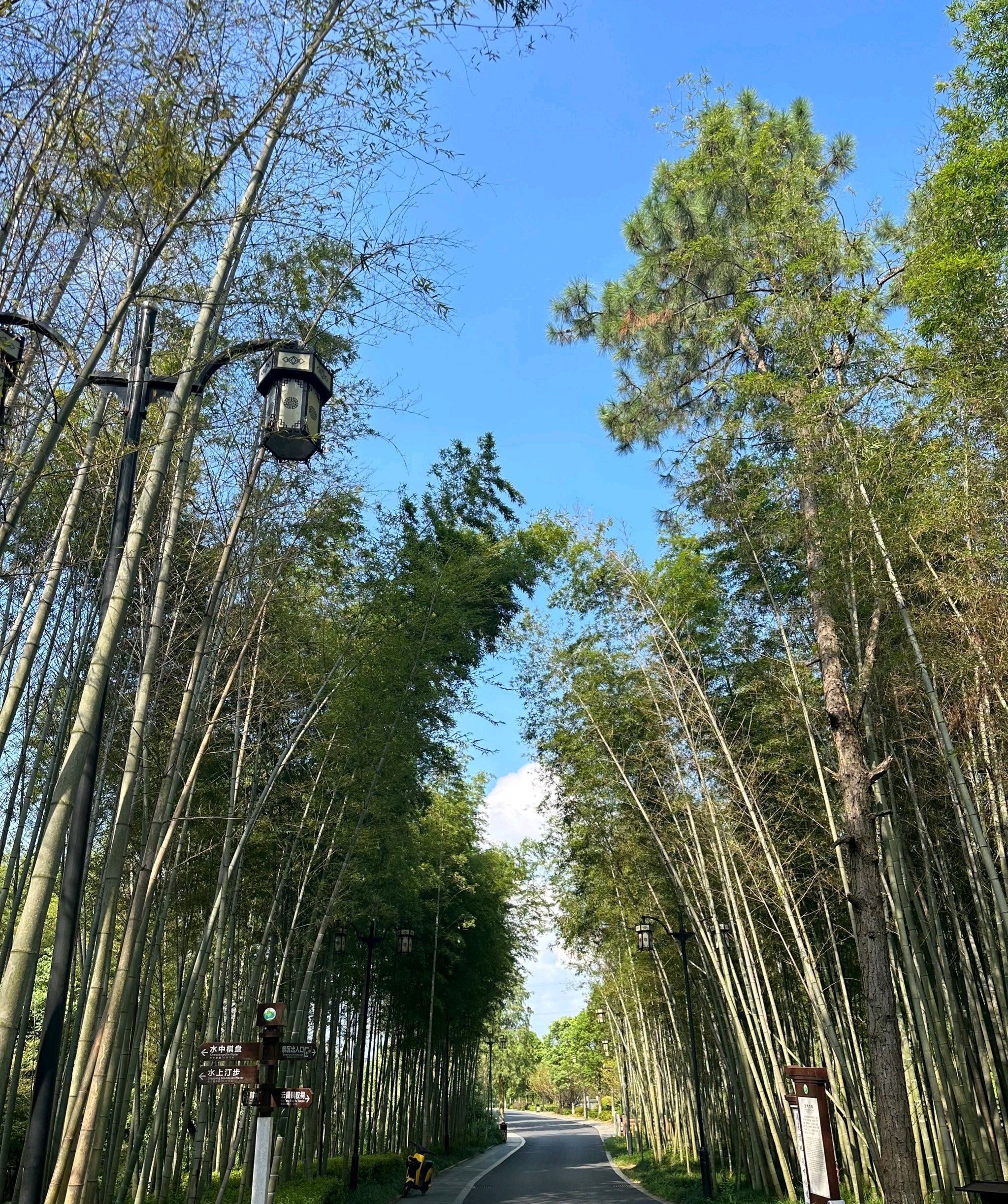 玉笥山景区旅行图片 2