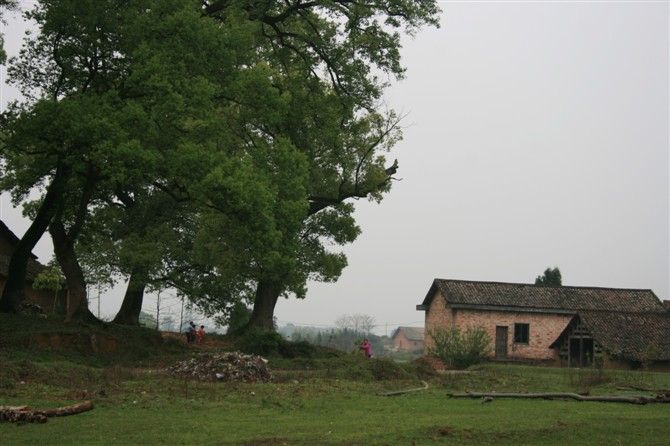 羊牯洞生态旅游风景区