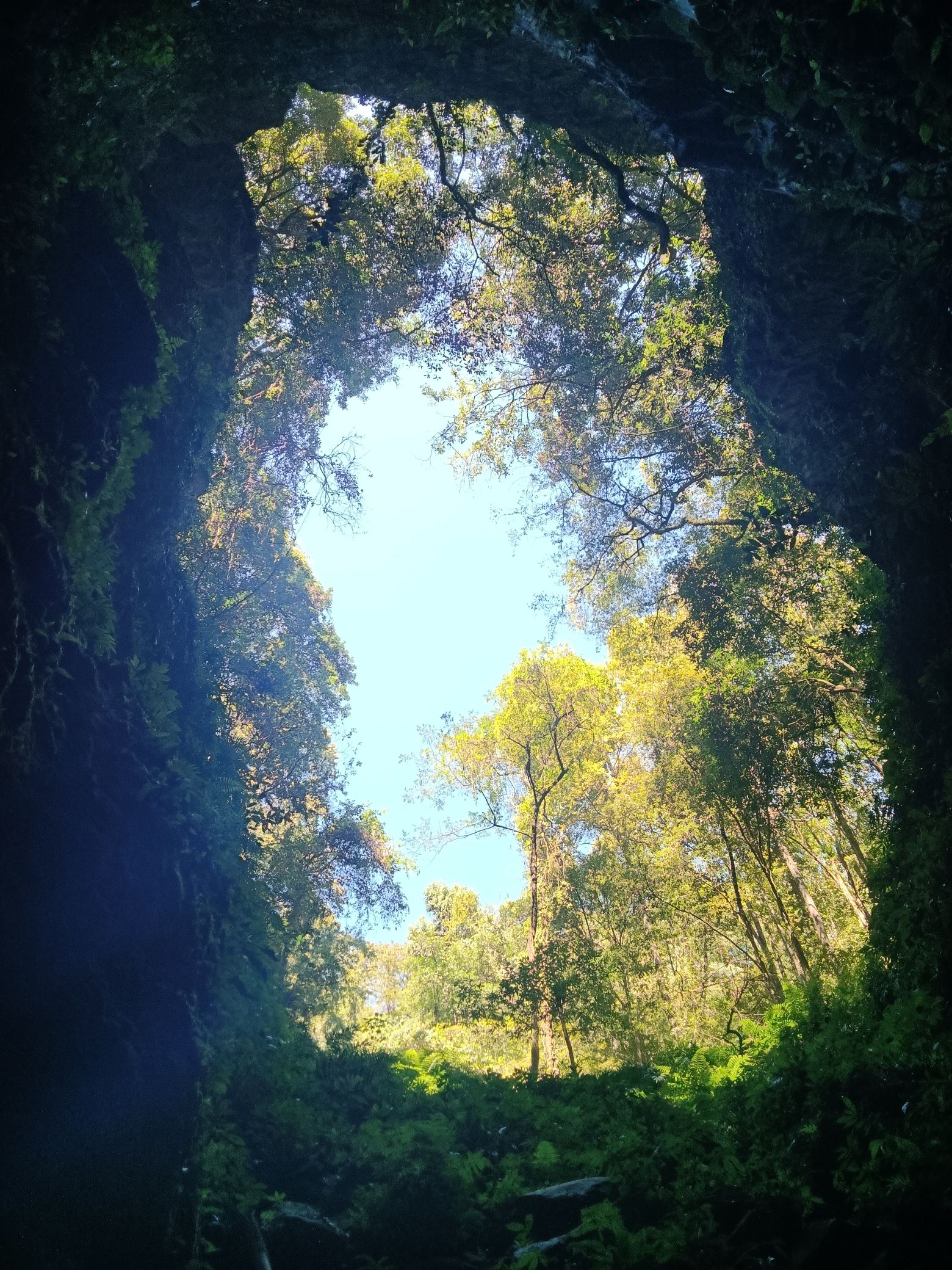 羊牯洞生态旅游风景区旅行图片 2