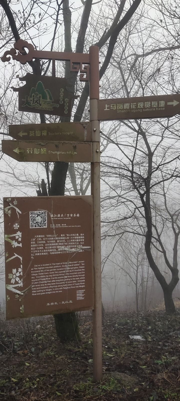 姚江源头旅行图片 3