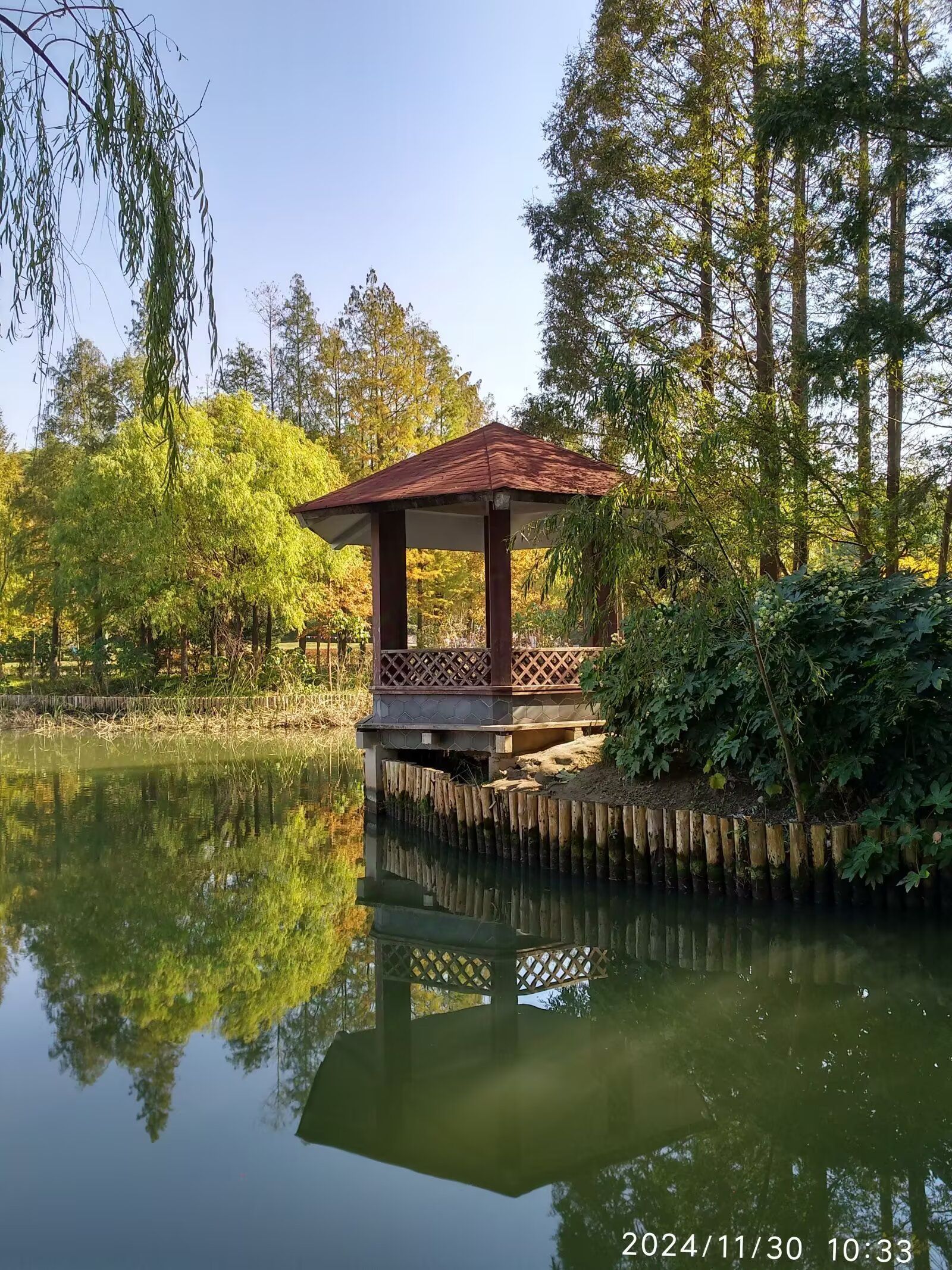罗泾公园旅行图片 2