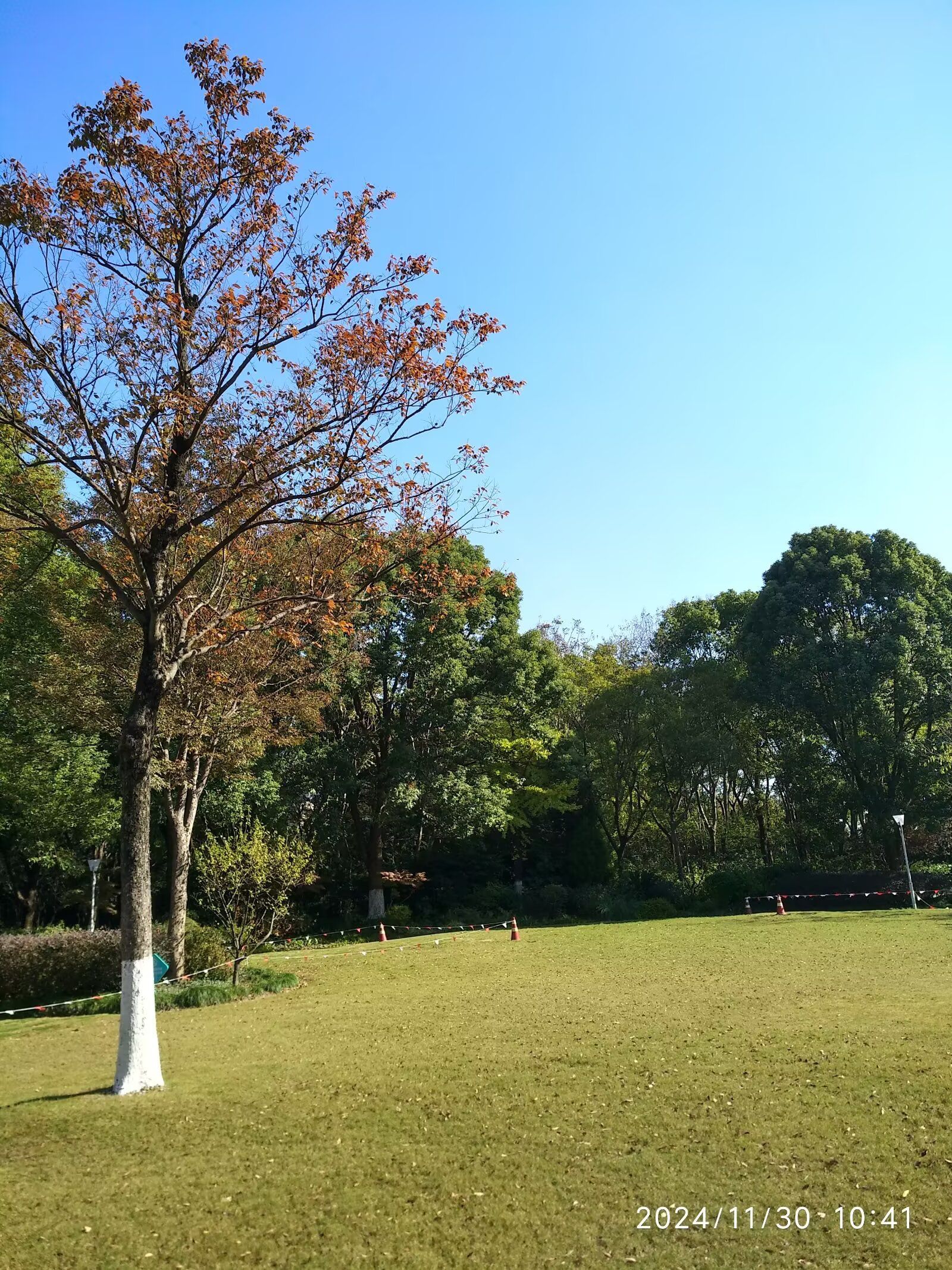 罗泾公园旅行图片 3
