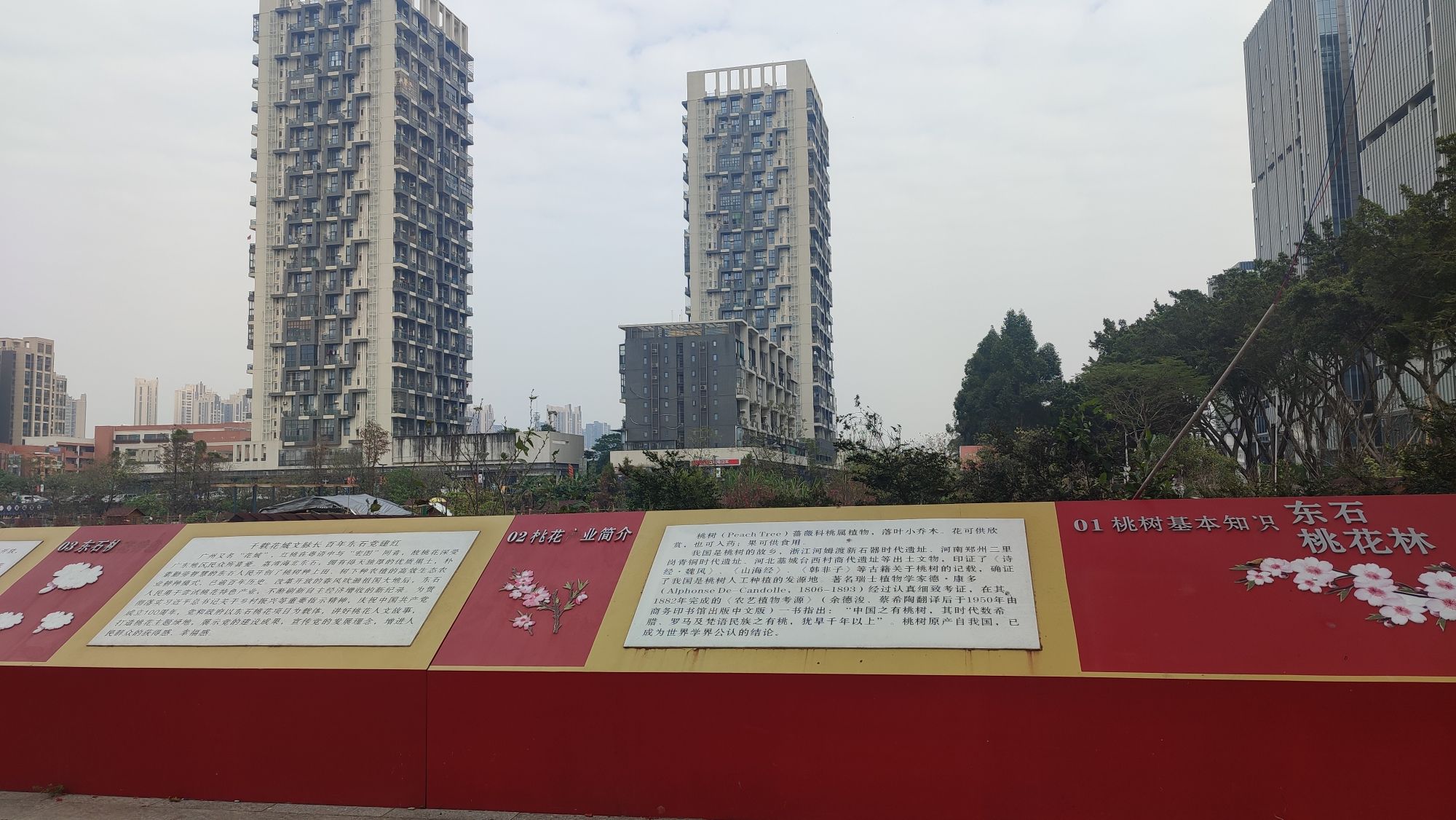 荔湾区海北东石桃花公园旅行图片 3