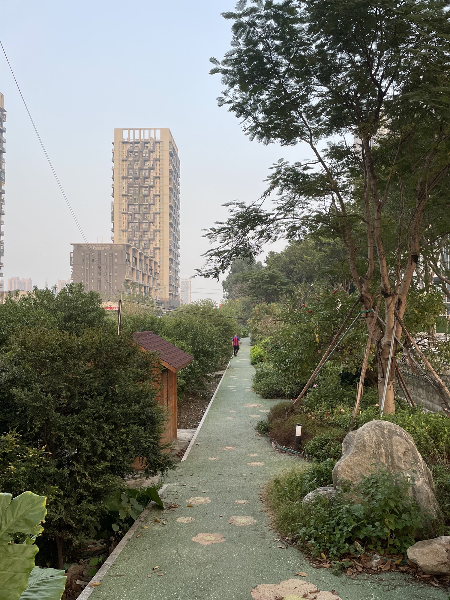 荔湾区海北东石桃花公园旅行图片 2