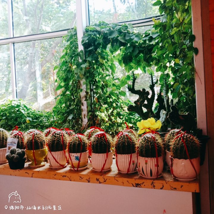 太乙仙山国际文博园旅行图片 1