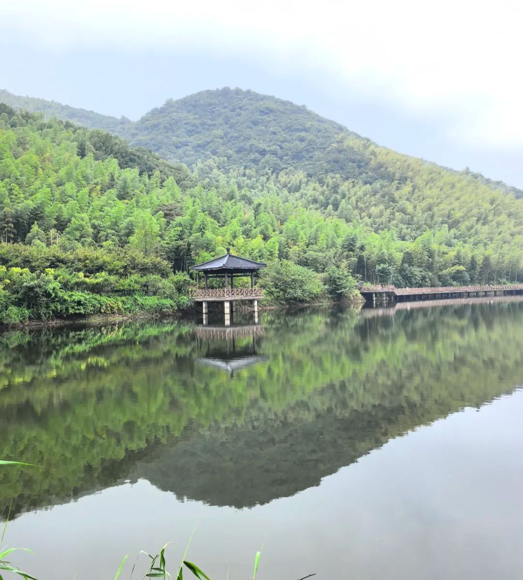 长兴水口茶文化景区旅行图片 1
