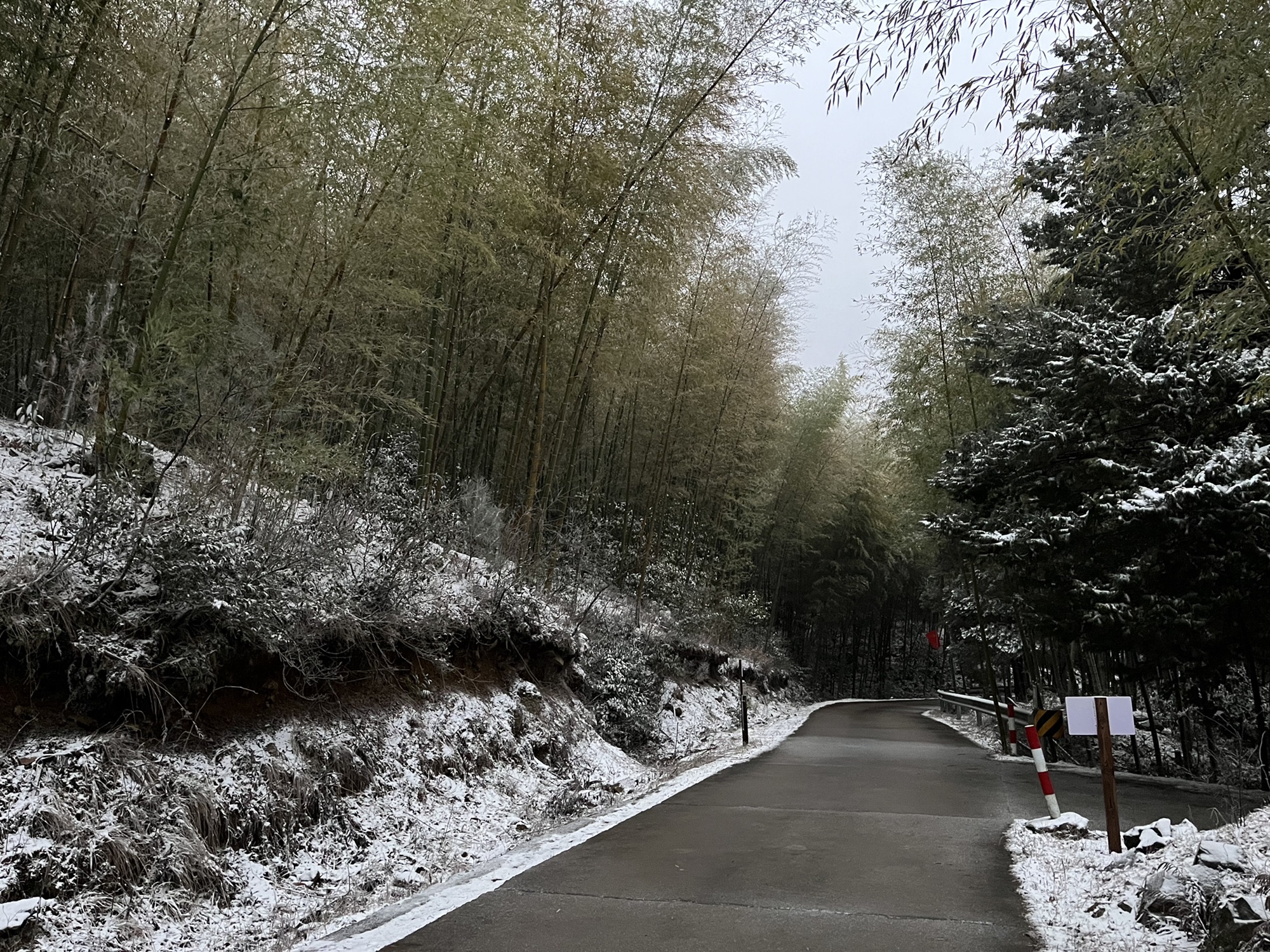 大洋山景区旅行图片 1