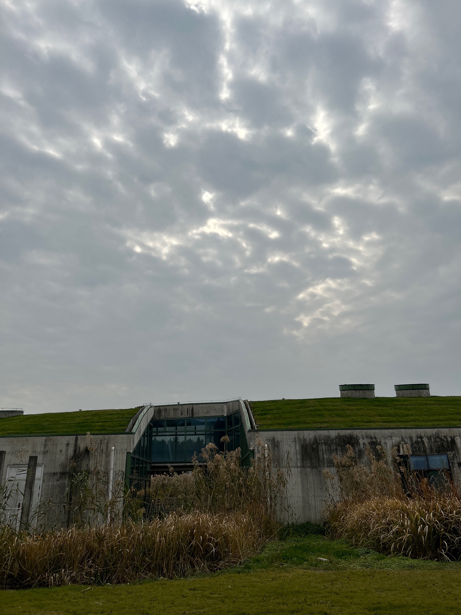 星溪公园旅行图片 2