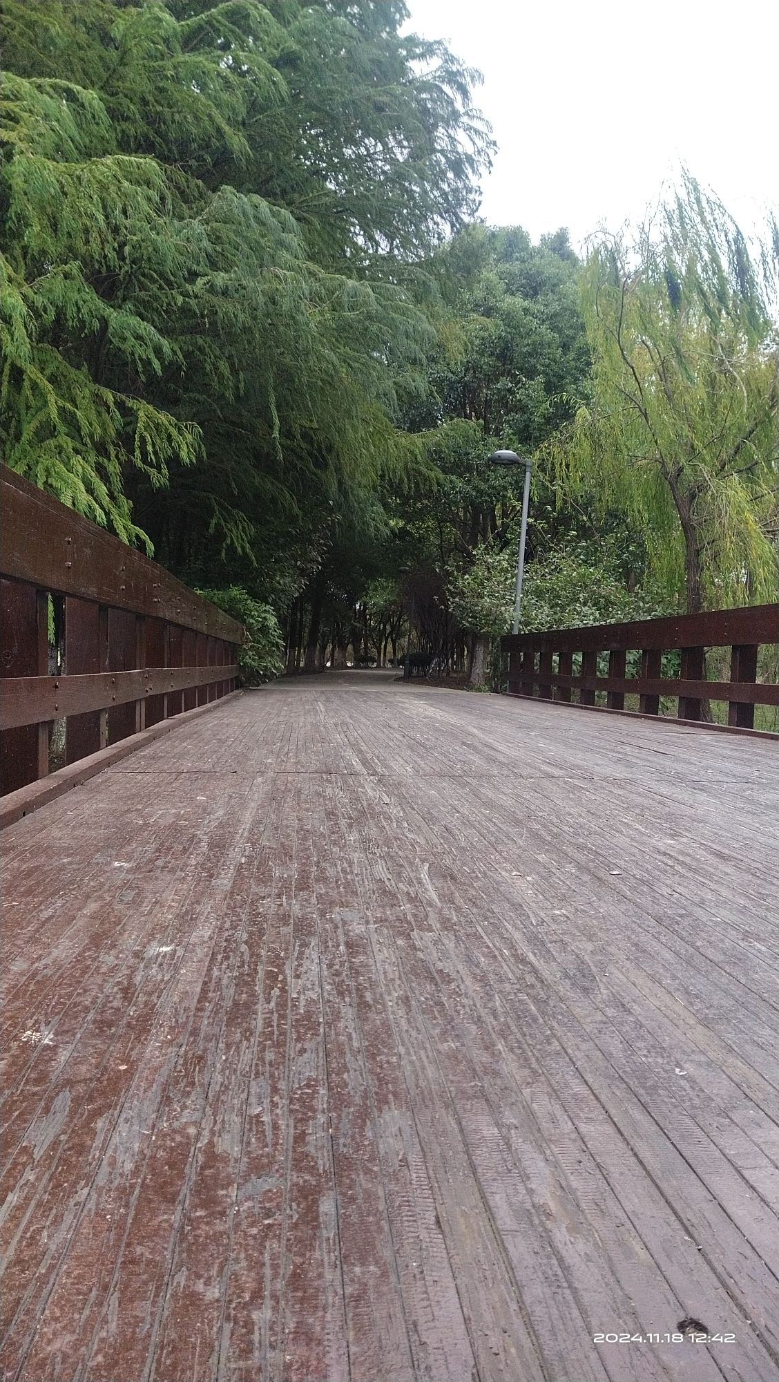 星溪公园旅行图片 2
