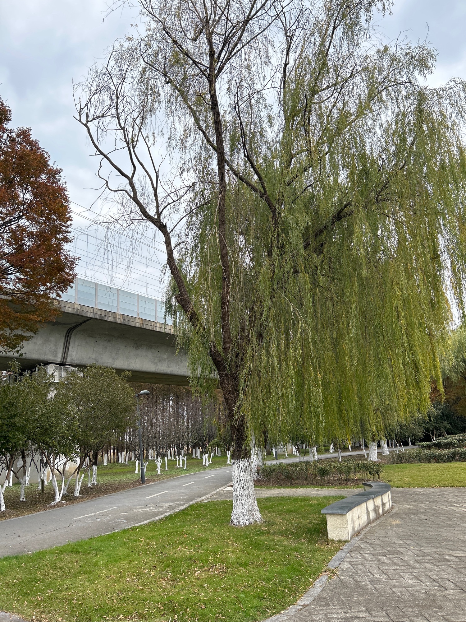 星溪公园旅行图片 1