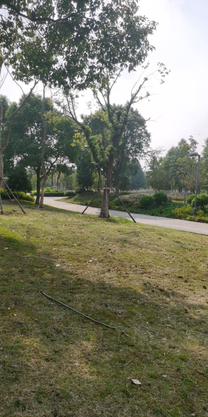 星溪公园旅行图片 1