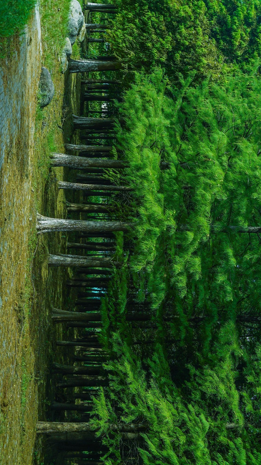 星溪公园旅行图片 2