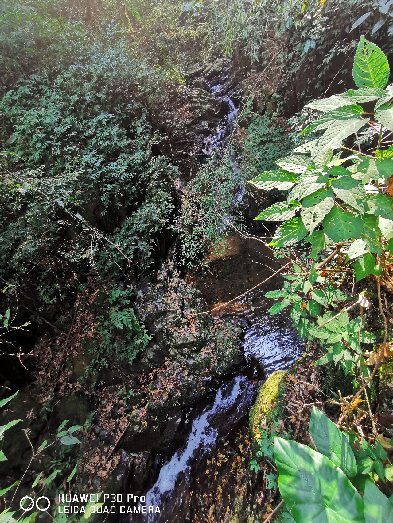 青山瀑布景区旅行图片 3