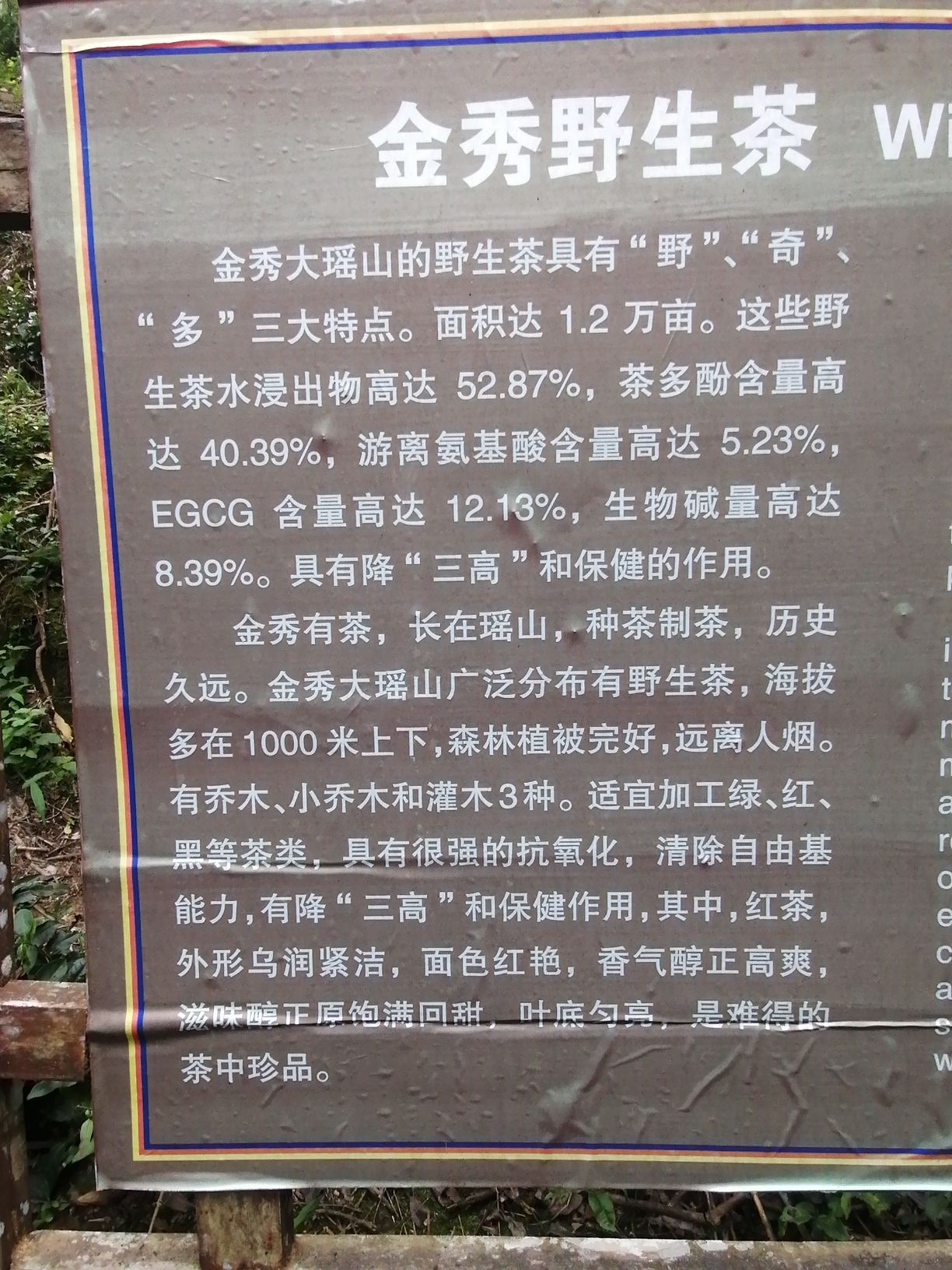 青山瀑布景区旅行图片 2