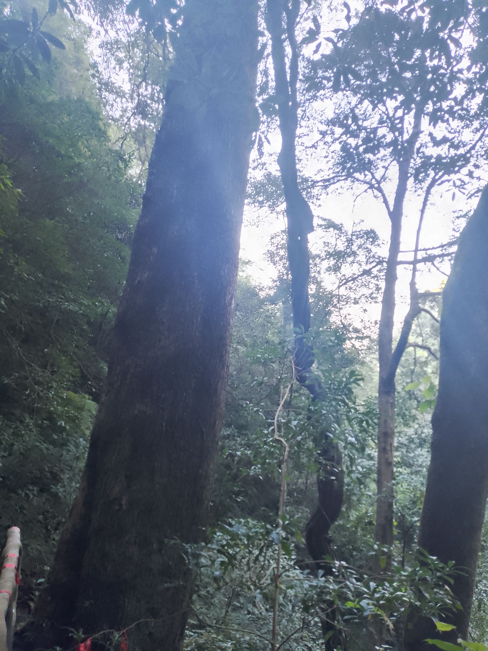 青山瀑布景区旅行图片 2