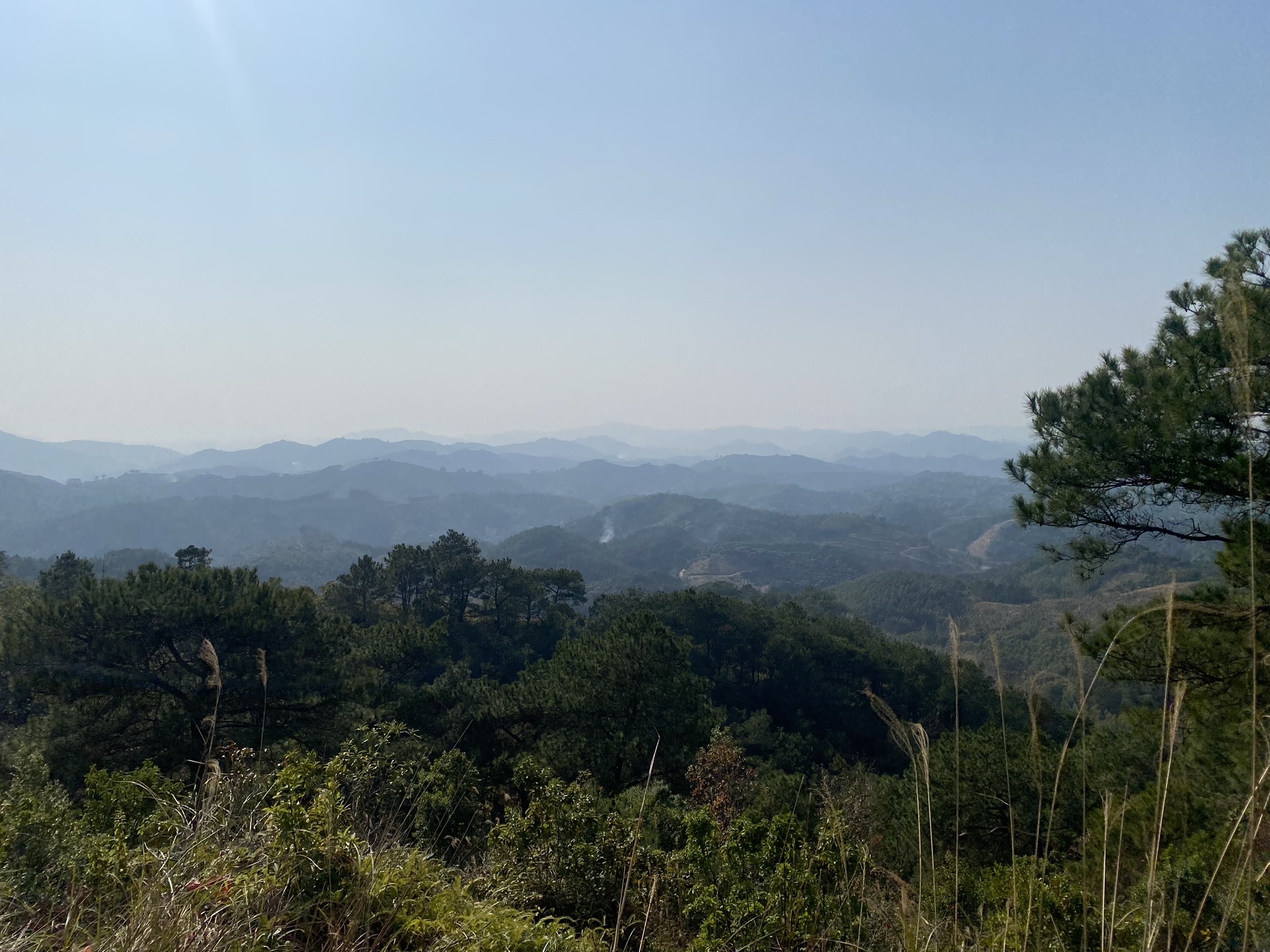 板城梨花谷旅行图片 3