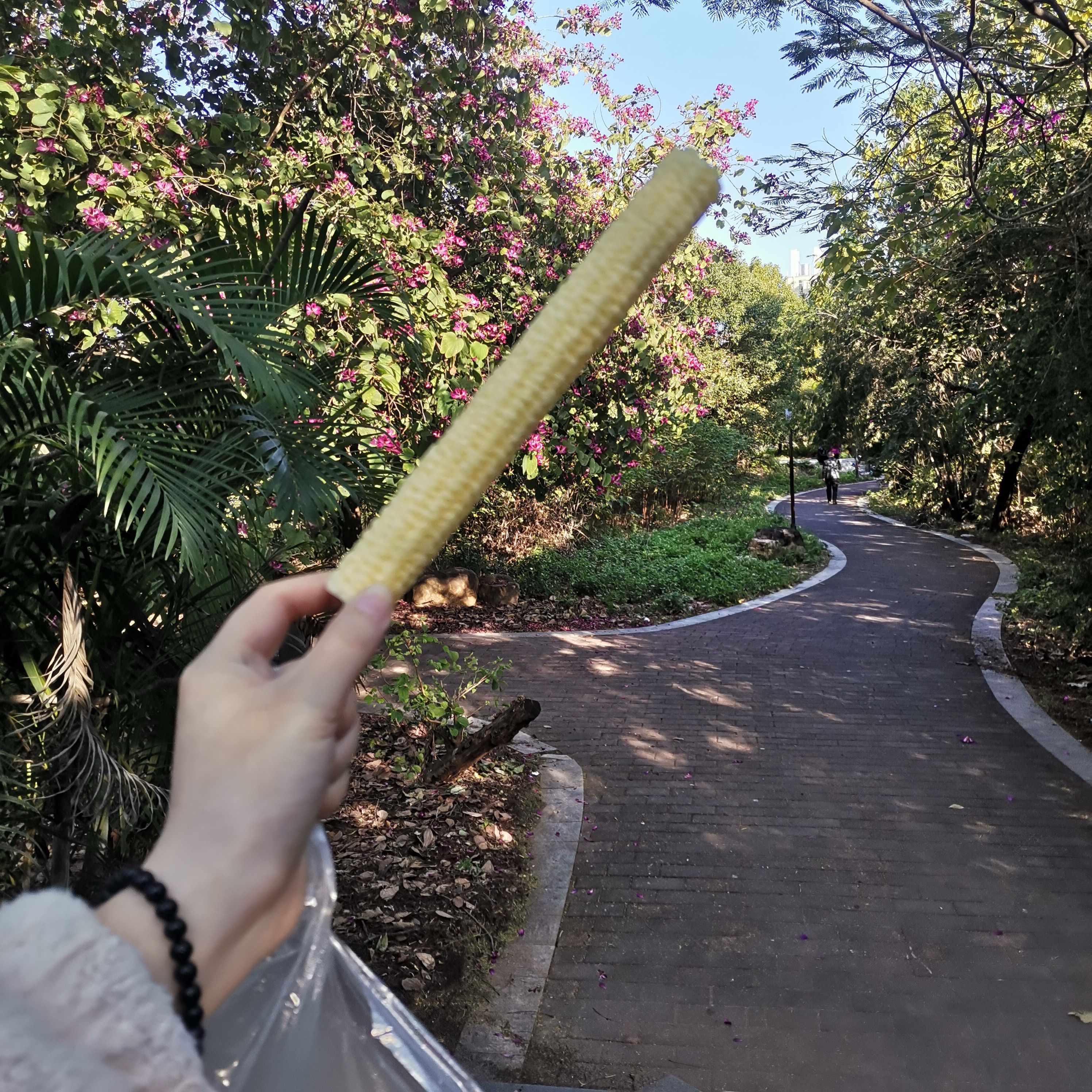 白云中央湿地旅行图片 1
