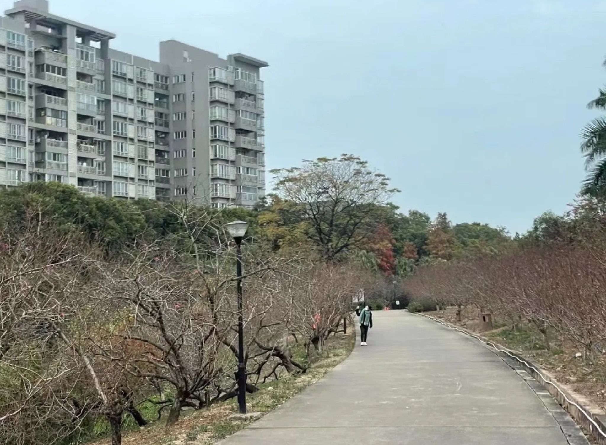白云中央湿地旅行图片 1